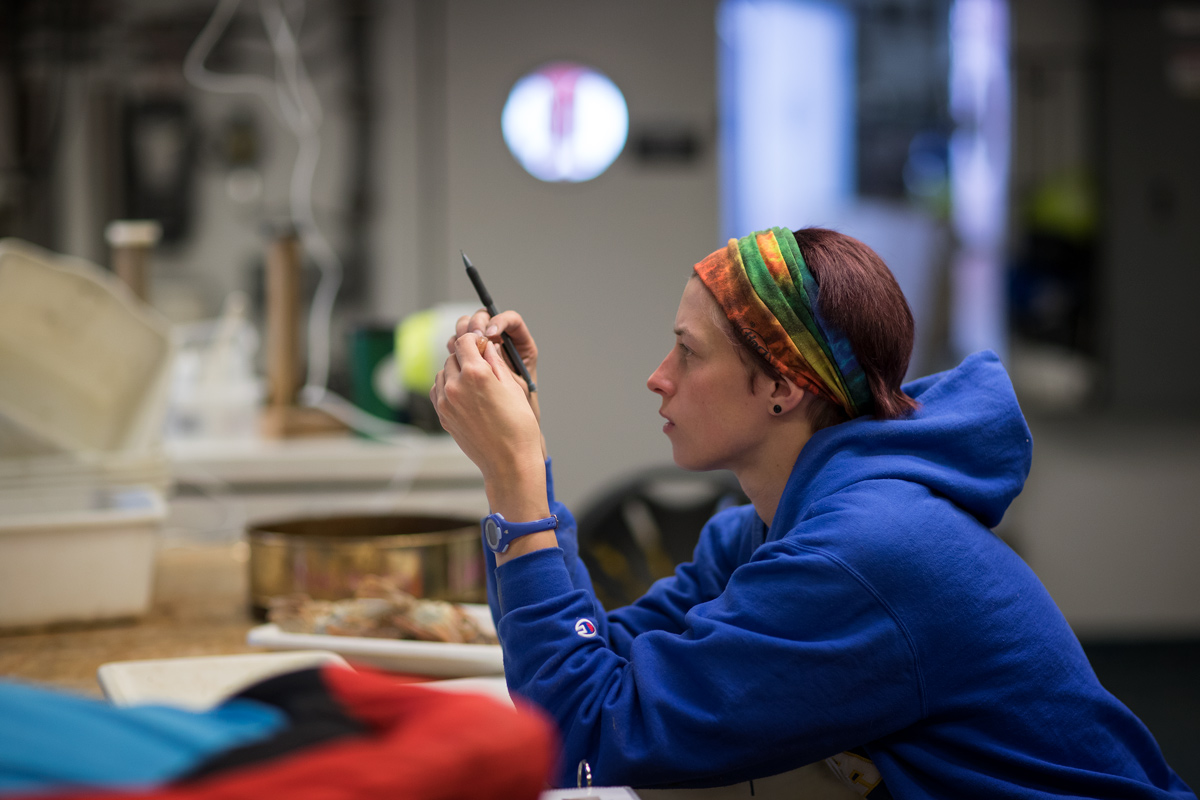 Ann examining a certain clam species collected from a bottom trawl. Photo credit: Brendan Smith