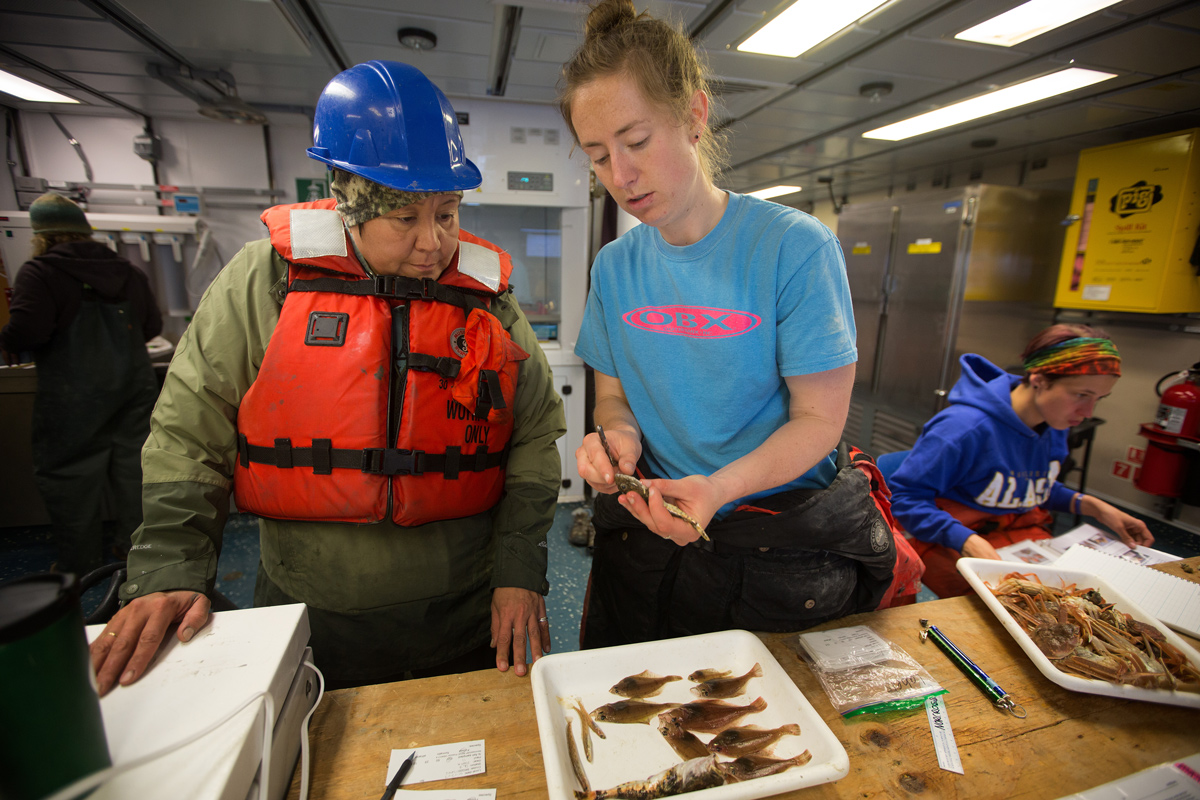Caitlin Forster shows Opik Ahkingathe latest catch from the bottom trawl. Photo credit: Brendan Smith