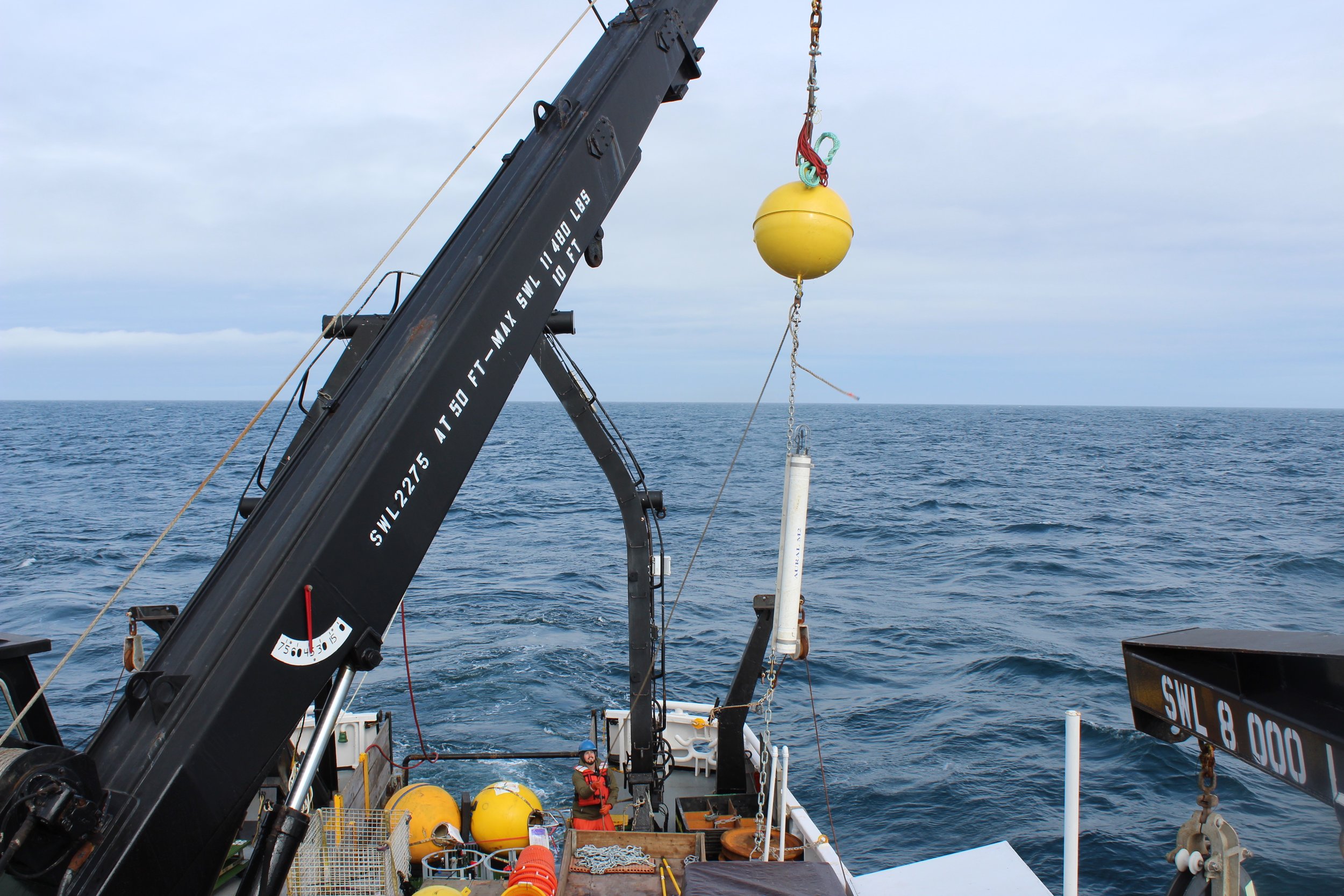 Cameron Backus helps steady the new mooring setup as it is lowered into the water by the crane.Photo credit: Harmony Wayner