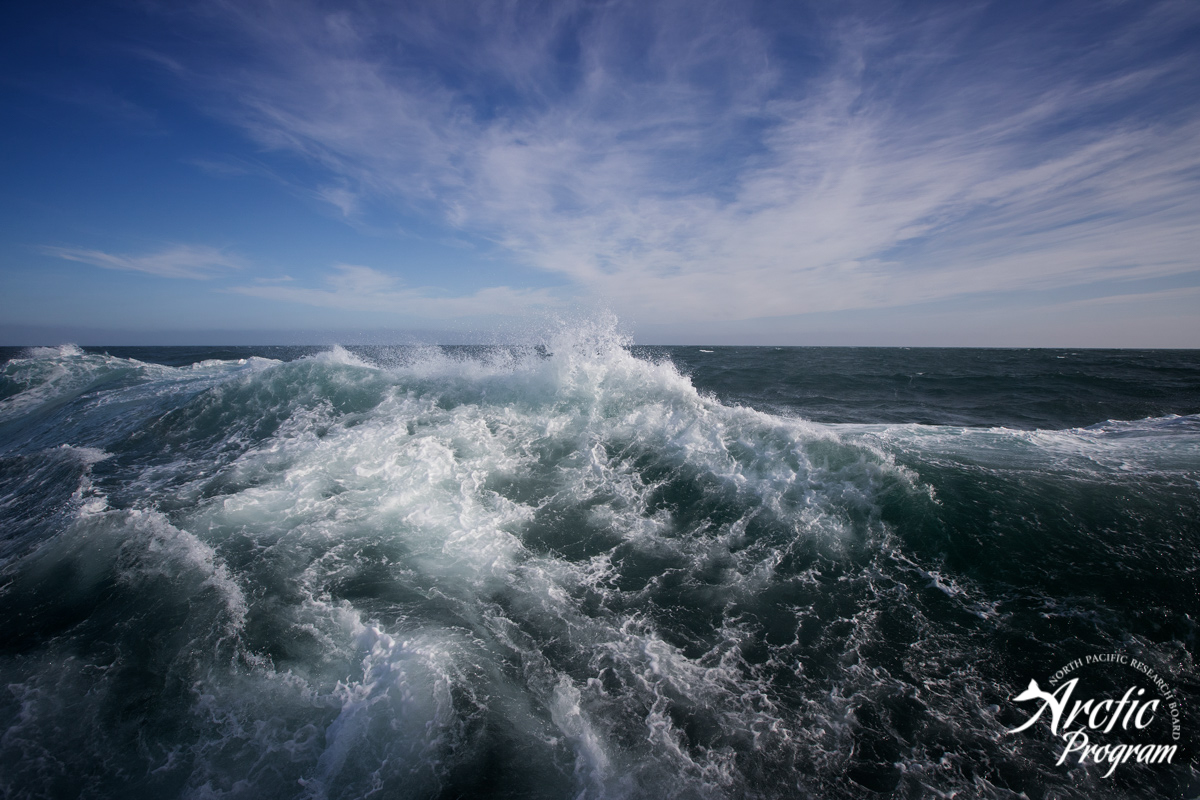 Sikuliaq_forweb_040.jpg