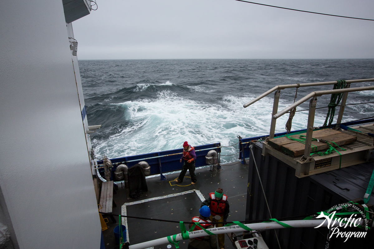 Sikuliaq_forweb_041.jpg