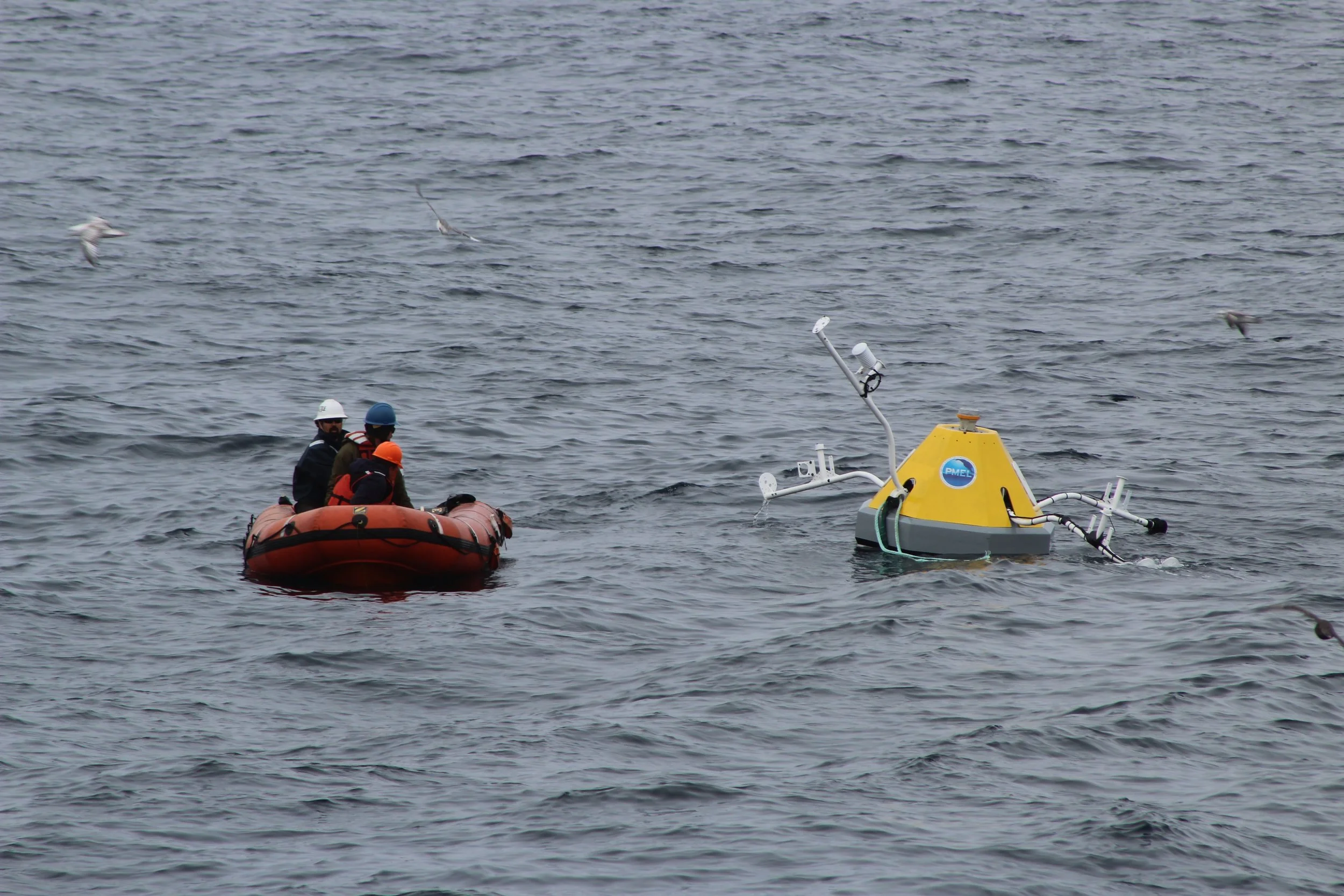 Geoff Lebon, Cameron Backus, and Armando Urrutia deploy the zodiac to repair a mooring which communicates weather conditions via satellite in the Chukchi Sea. Photo credit: Harmony Wayner