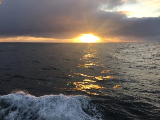 The view of the Northern Chukchi Sea from the R/V Ocean Starr on our first calm evening. Photo credit: Alicia Flores