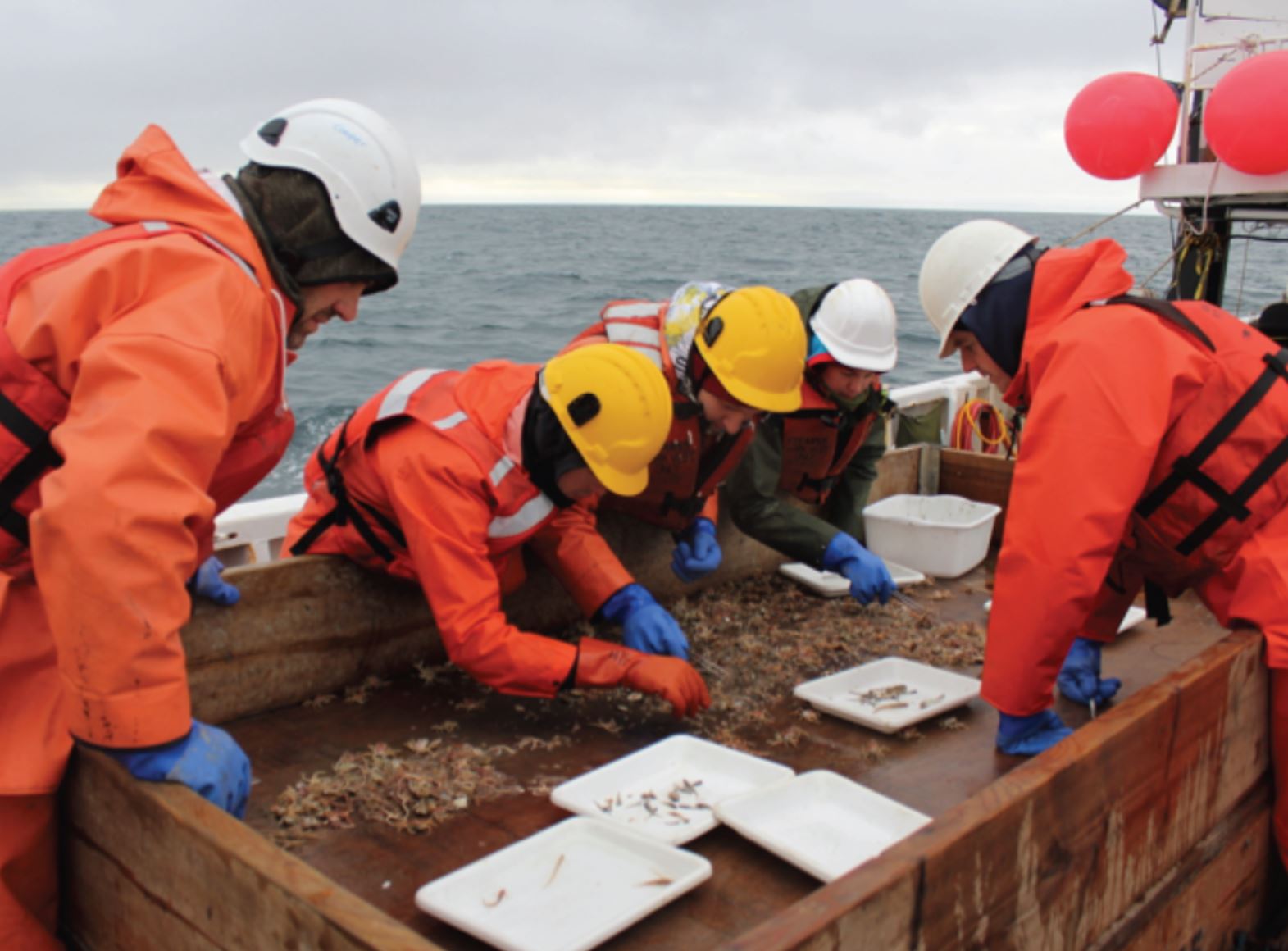 Dan and Alex helping students Igor, Aleksey and Genevieve with the benthic species. Photo credit: Alicia Flores