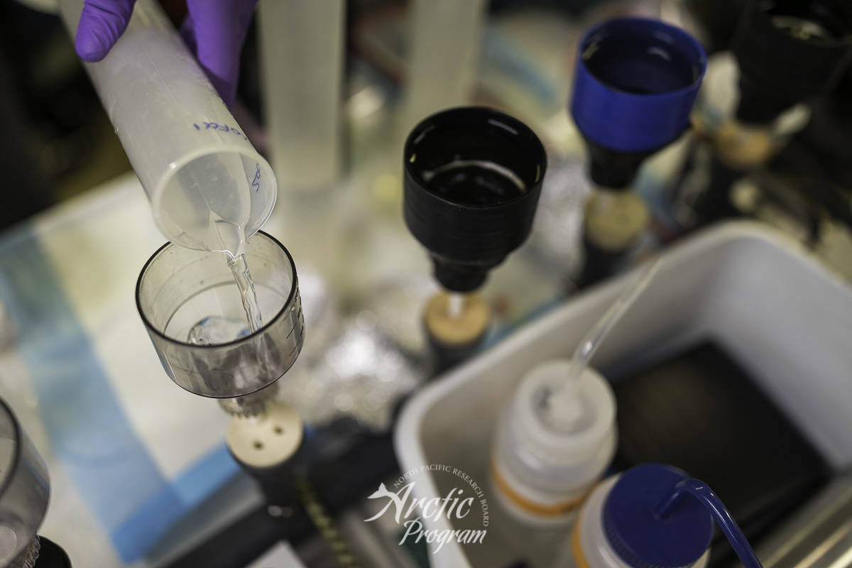 Processing seawater samples aboard the R/V Ocean Starr . Photo credit: Brendan Smith/NPRB