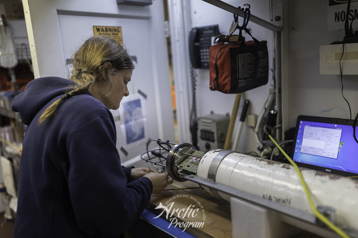 Catherine Berchok checking the acoustic monitoring instrument called an Aural. Photo credit: Brendan Smith/NPRB