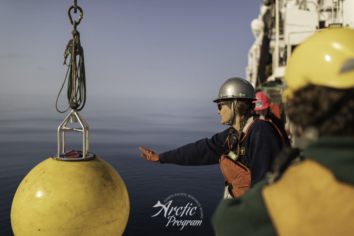Catherine Berchok preparing to deploy one of her passive acoustic moorings in the northern Chukchi Sea. Photo credit: Brendan Smith/NPRB