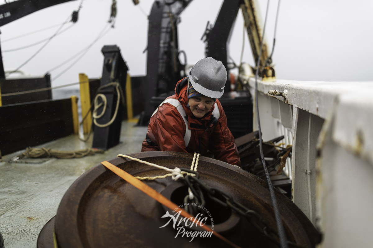 Catherine Berchok unbuckling the train wheel anchors for her acoustic mooring. Photo credit: Brendan Smith/NPRB