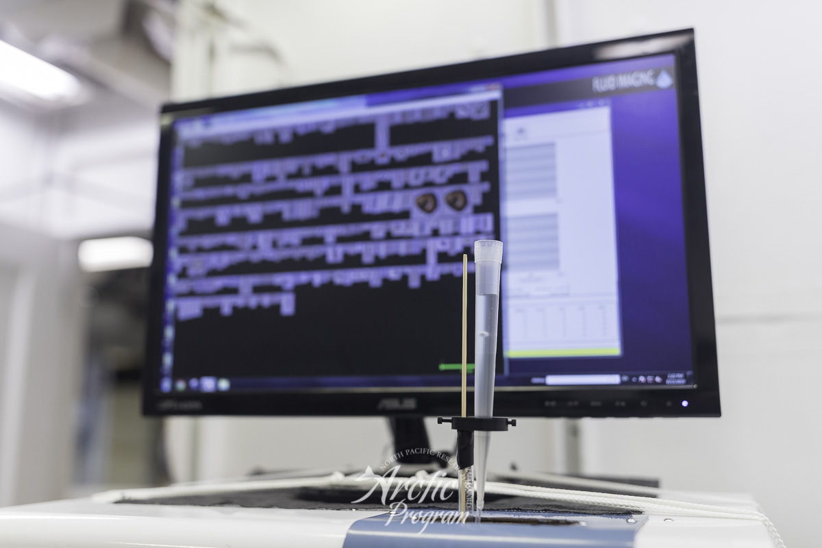 Sea water sample (foreground) being processed through the Flow Cam (background) revealing different phytoplankton species including diatoms and dinoflagellates.