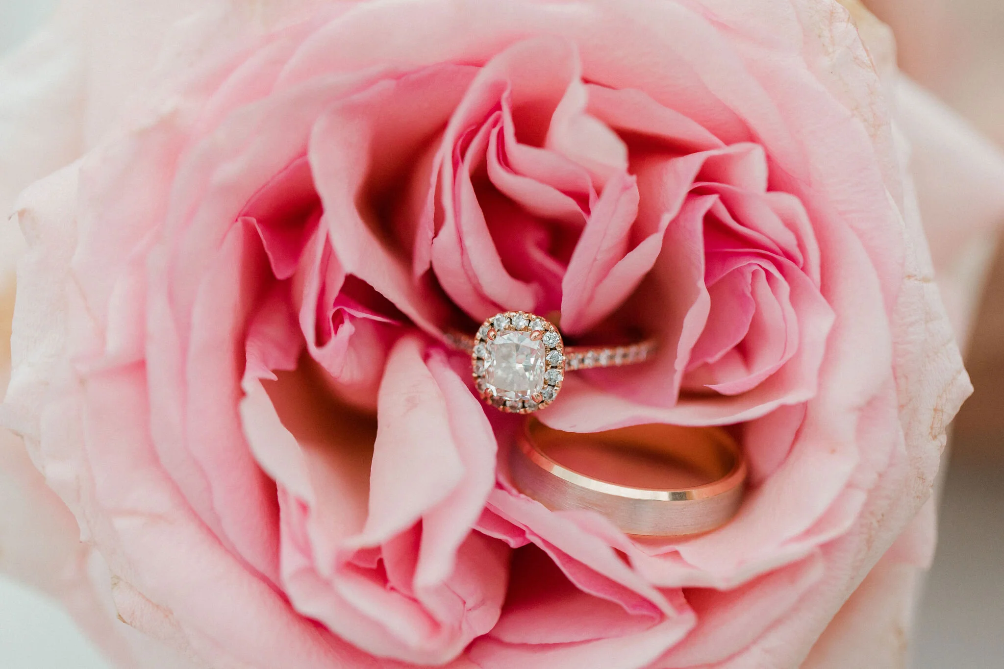 Romantic Micro Wedding Rose Gold Wedding Bands