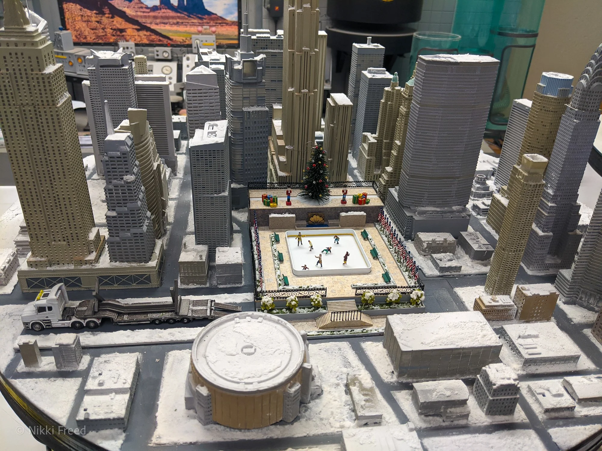 RC-NYC-tree_20200908_105808.jpg