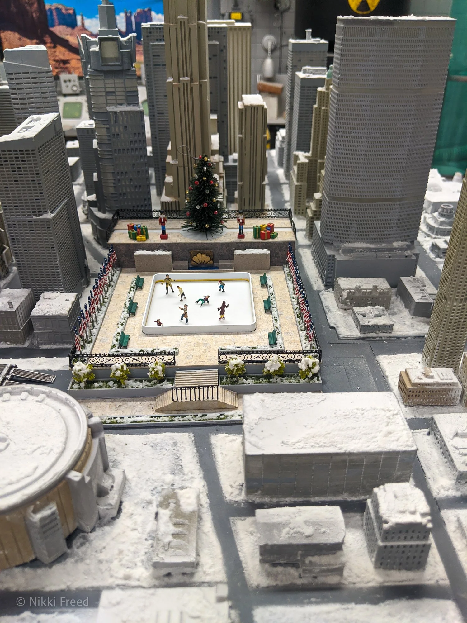RC-NYC-tree_20200908_105805.jpg