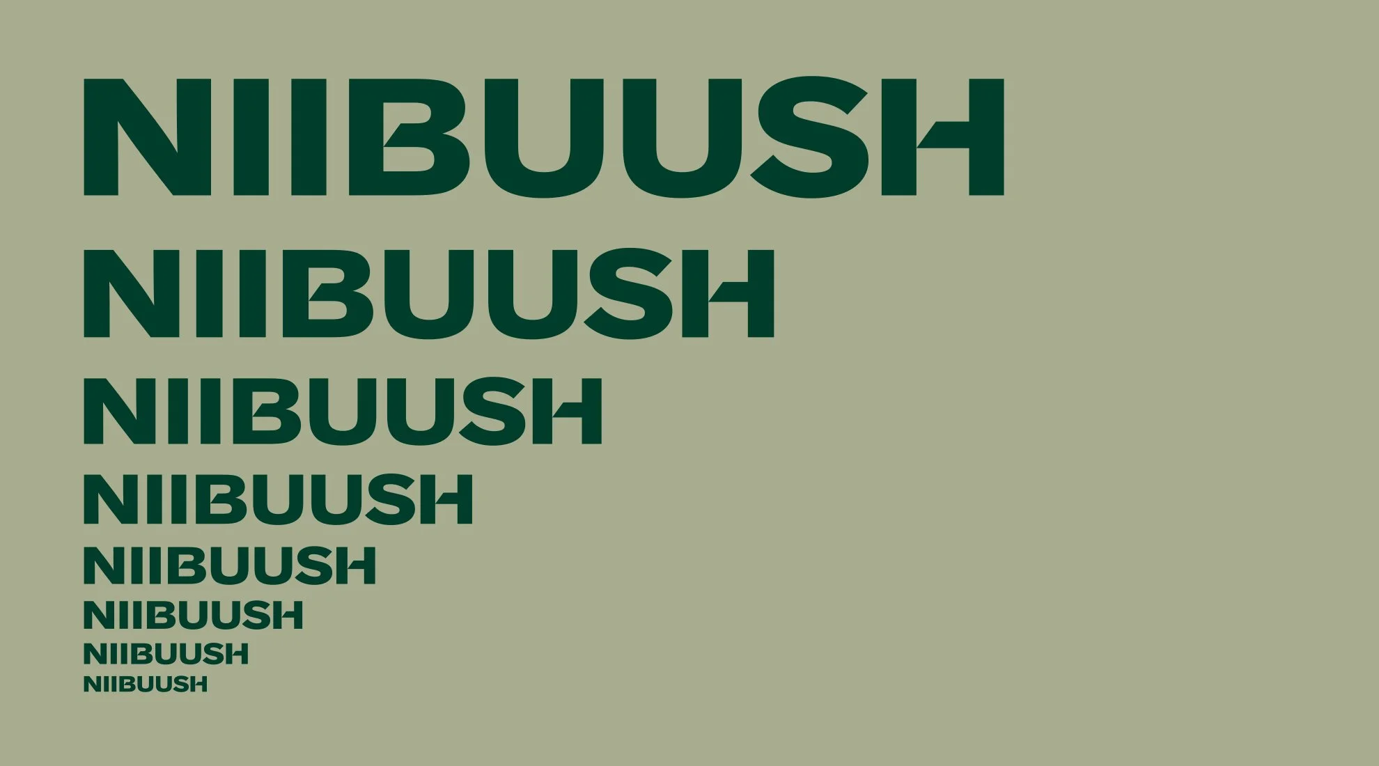Niibuush_5.jpg
