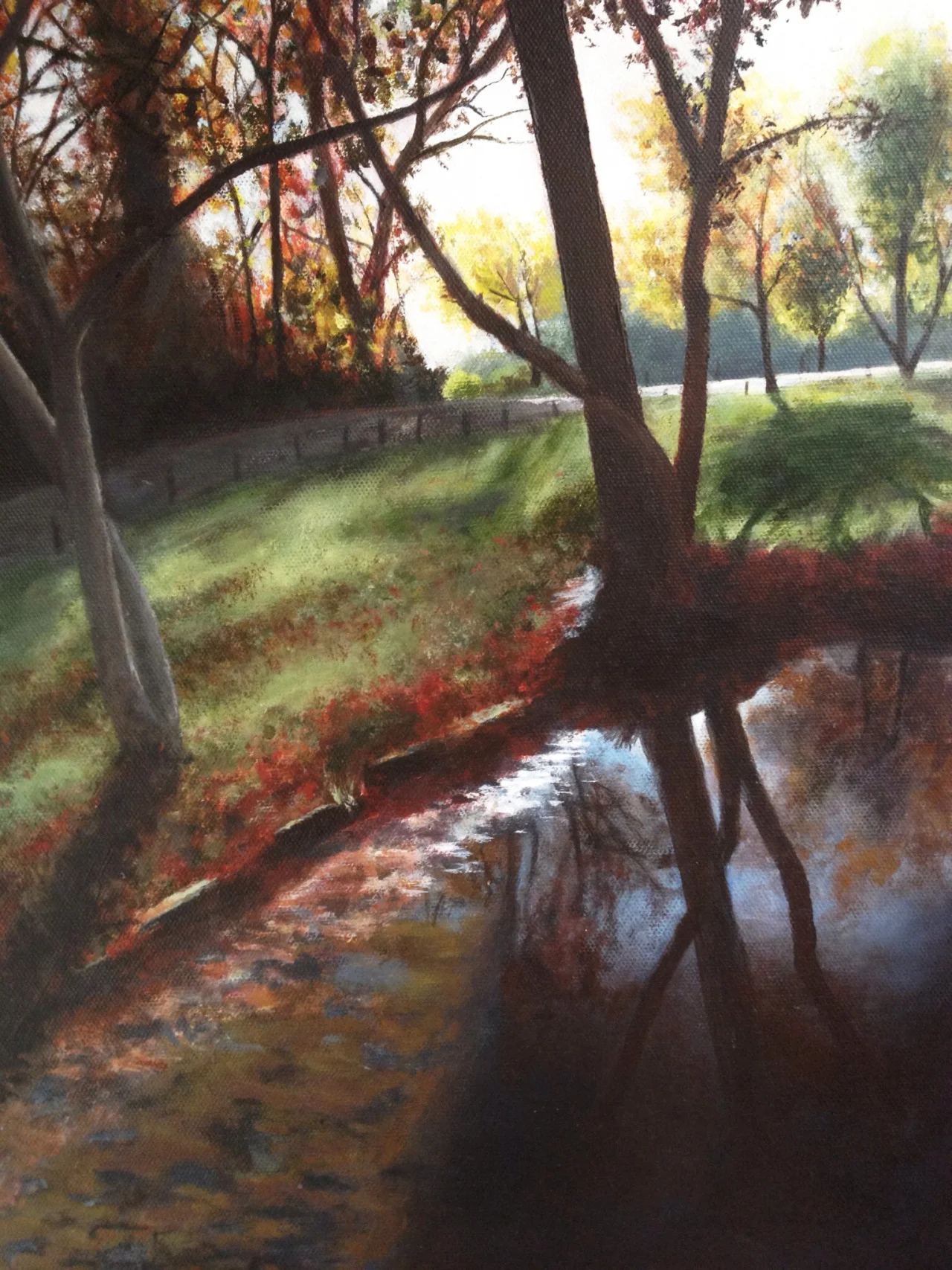 Darlington Stream & Forest.jpg