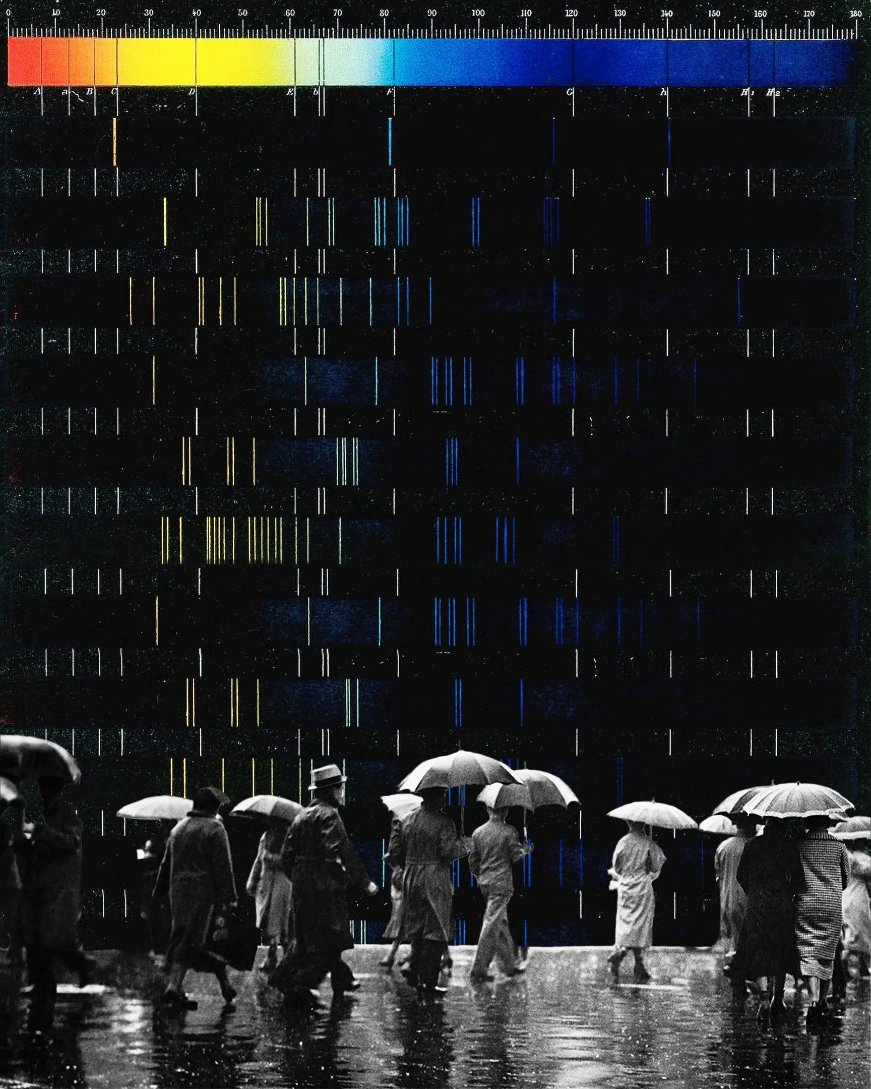 Collage125 11x14.jpg