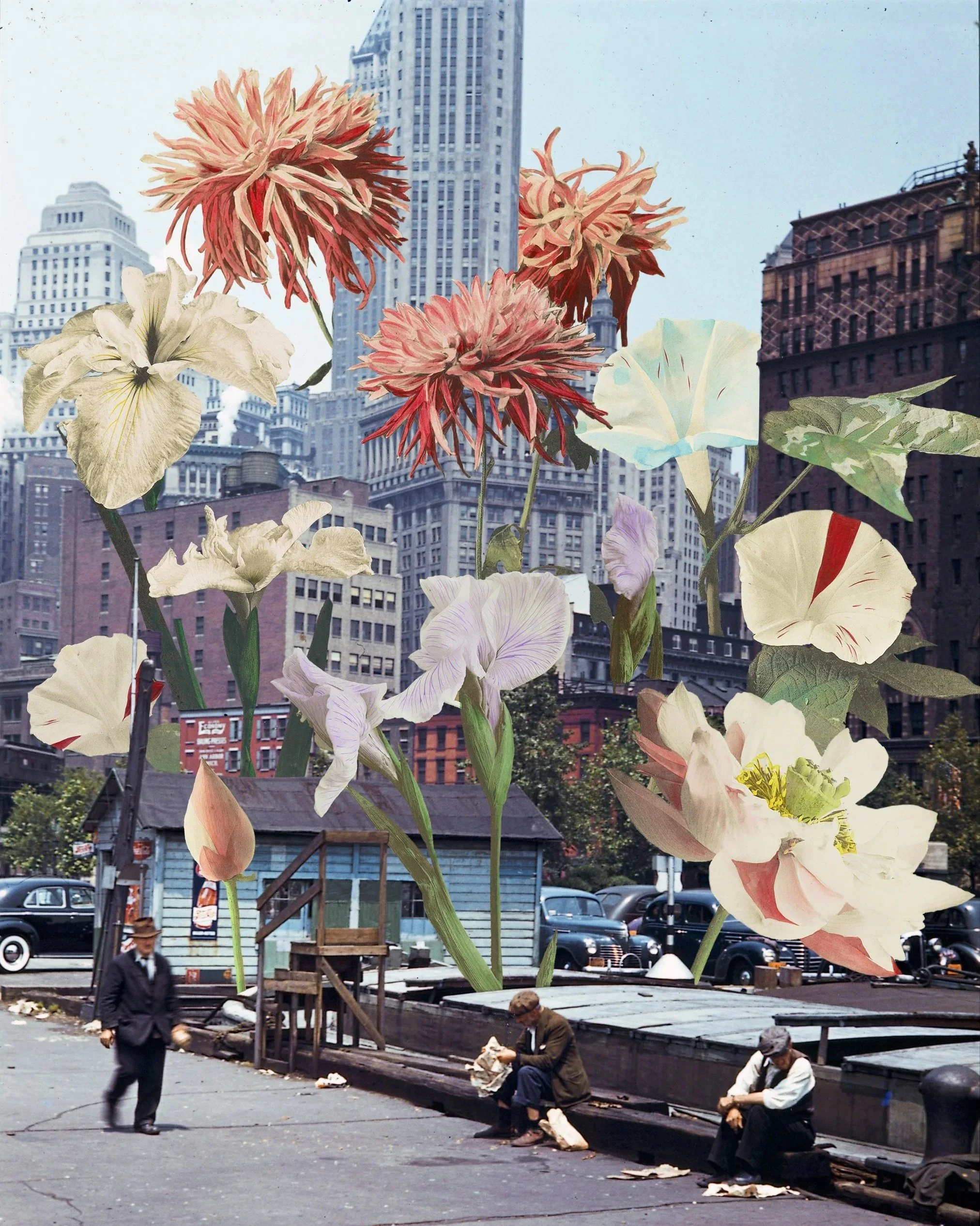 Blooms+%26+Exhaust.jpg