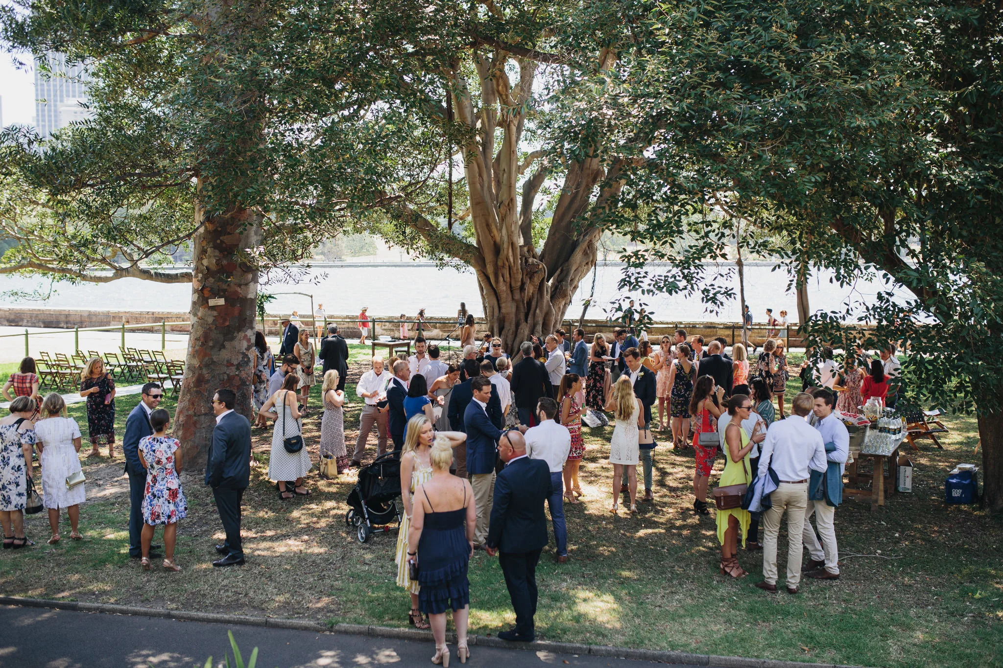 Wedding guests at Sydney Botanic Gardens Wedding Harbour View Lawn