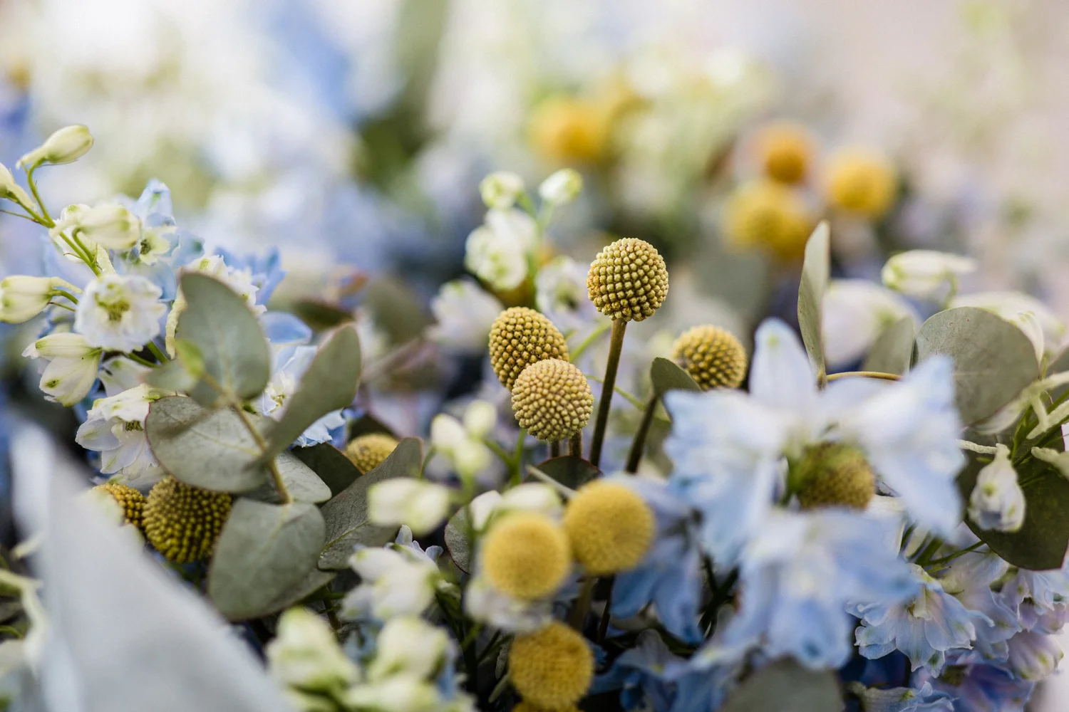BONDI WEDDING FLOWERS