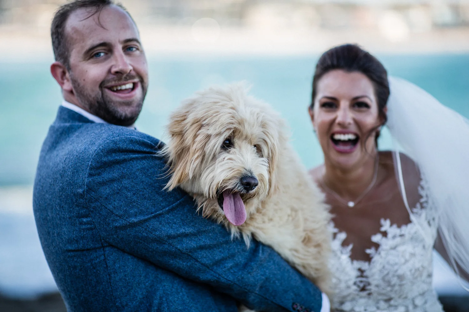 DOG FRIENDLY WEDDING AT MARKS PARK IN BONDI BEACH