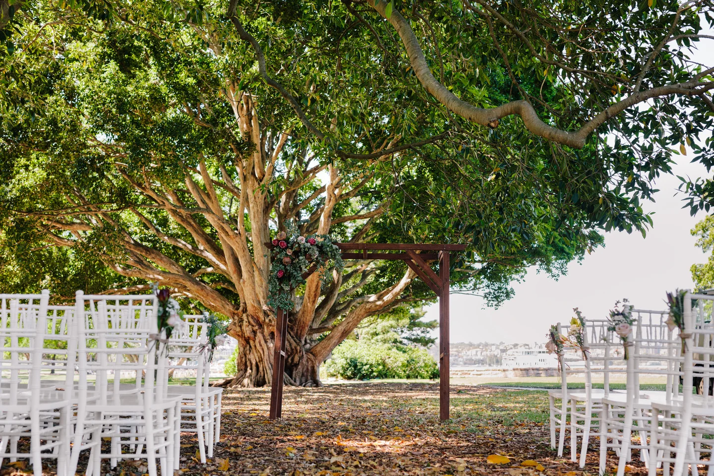 Timber arbour and tiffany chairs for a wedding ceremony at the Fig Tree Lawn Royal Botanic Garden Sydney.