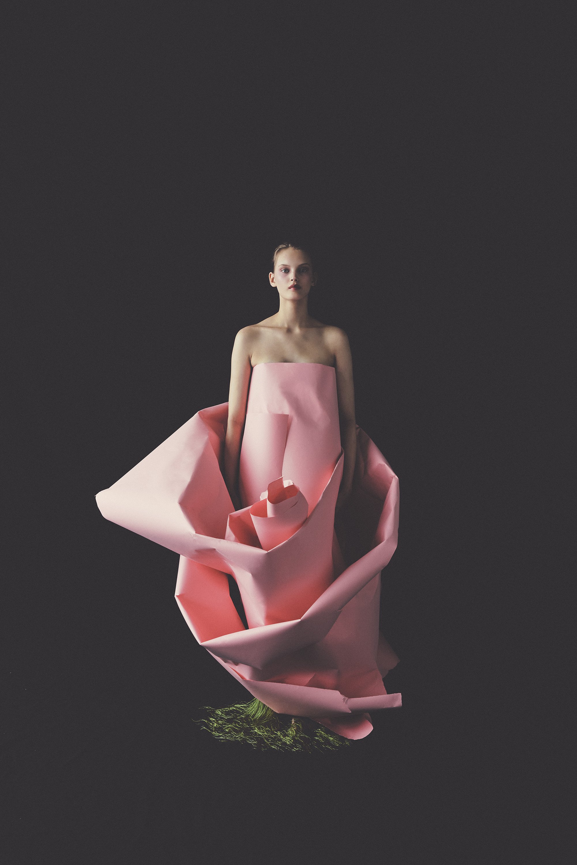 FOREVER_IN_BLOOM130092.jpg