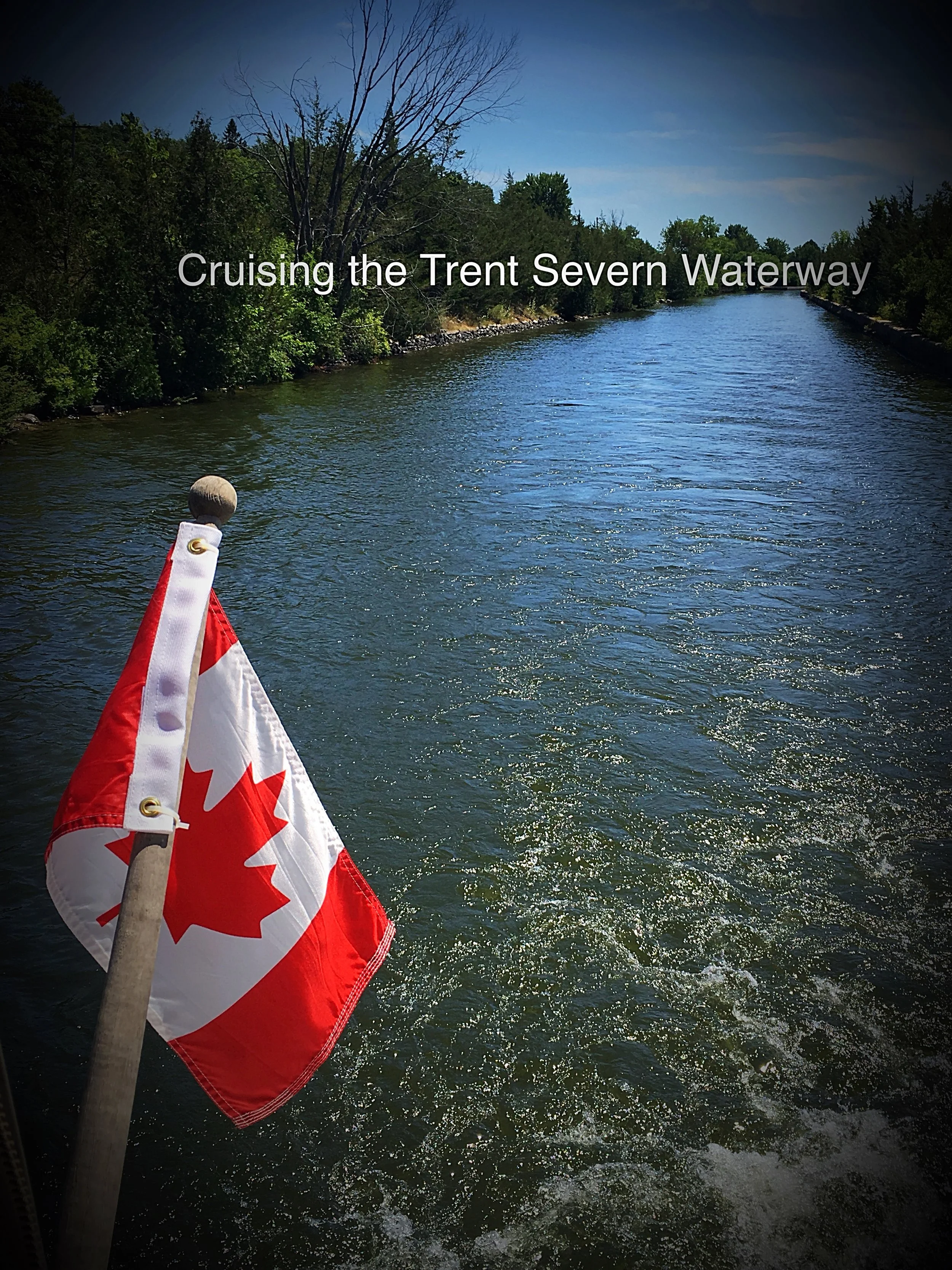 Row, Row, Row Your Boat