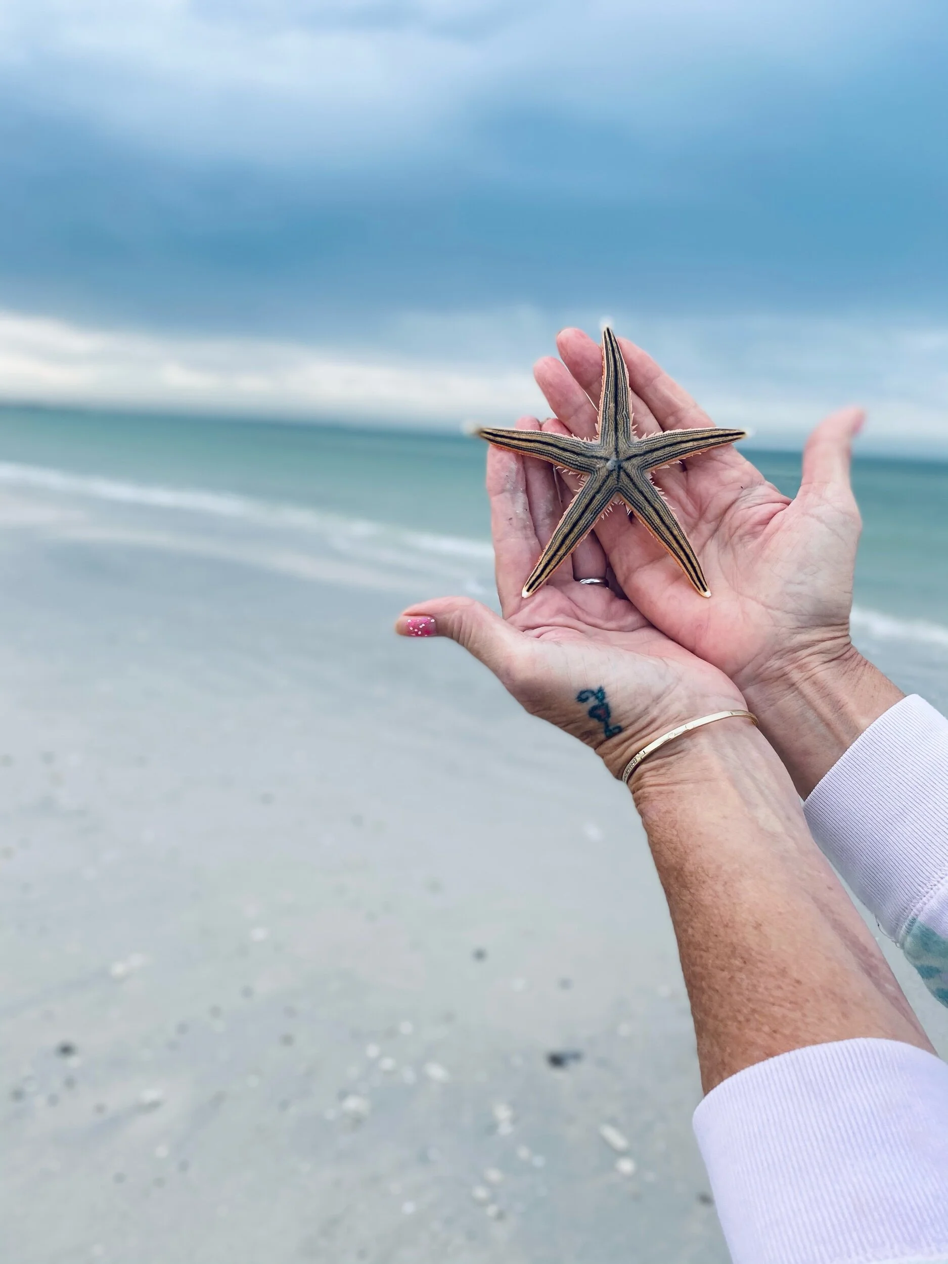 And Away We Go, Again!