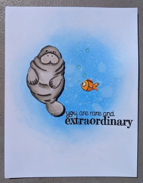 A Swim With A Manatee