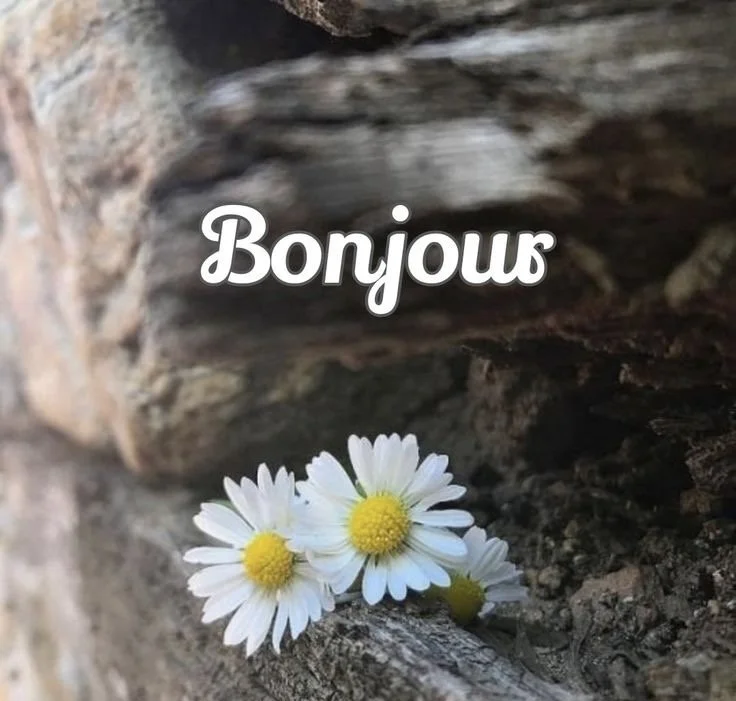 Our Maritime Adventure