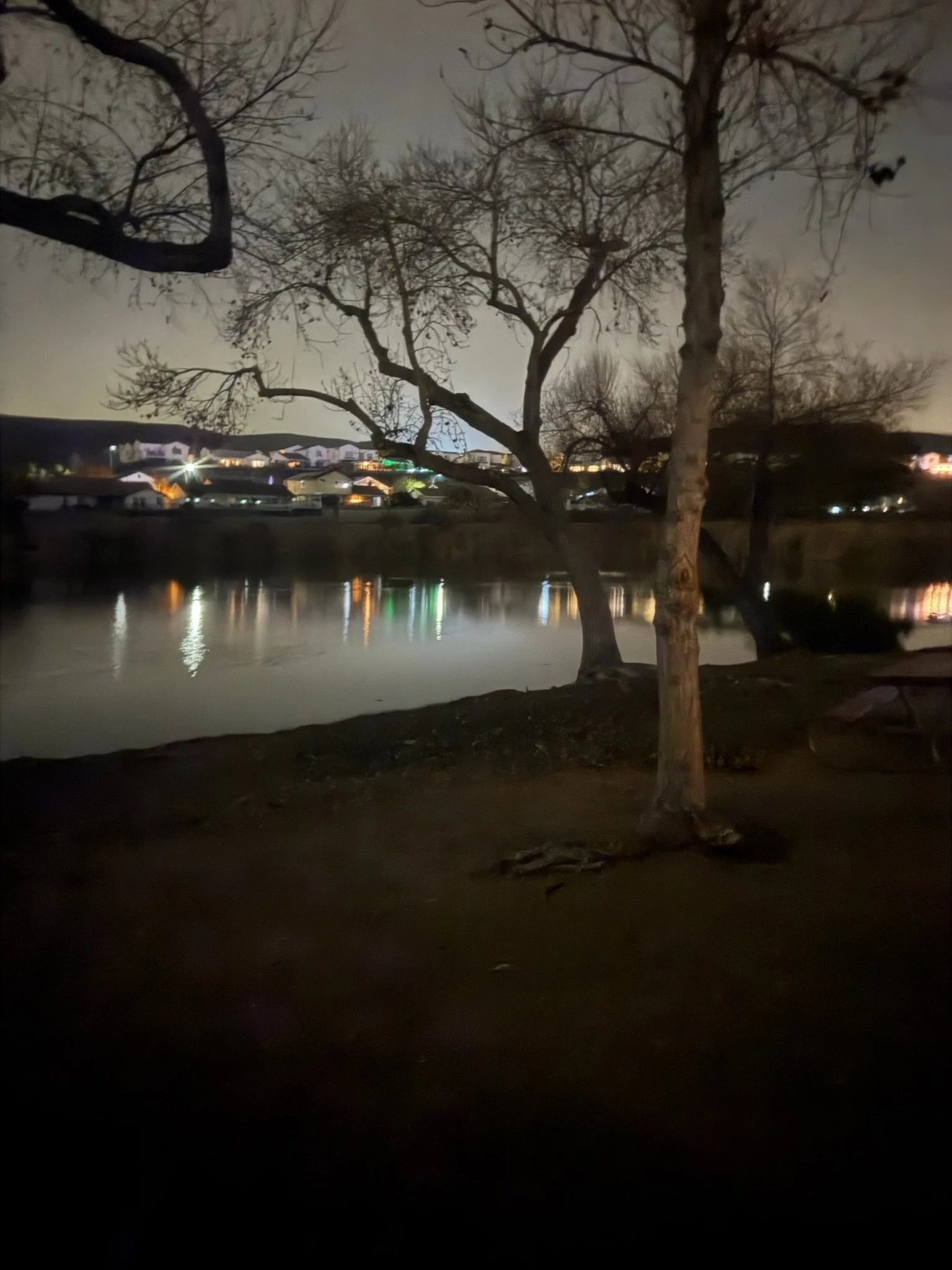 IMG_8145.jpeg