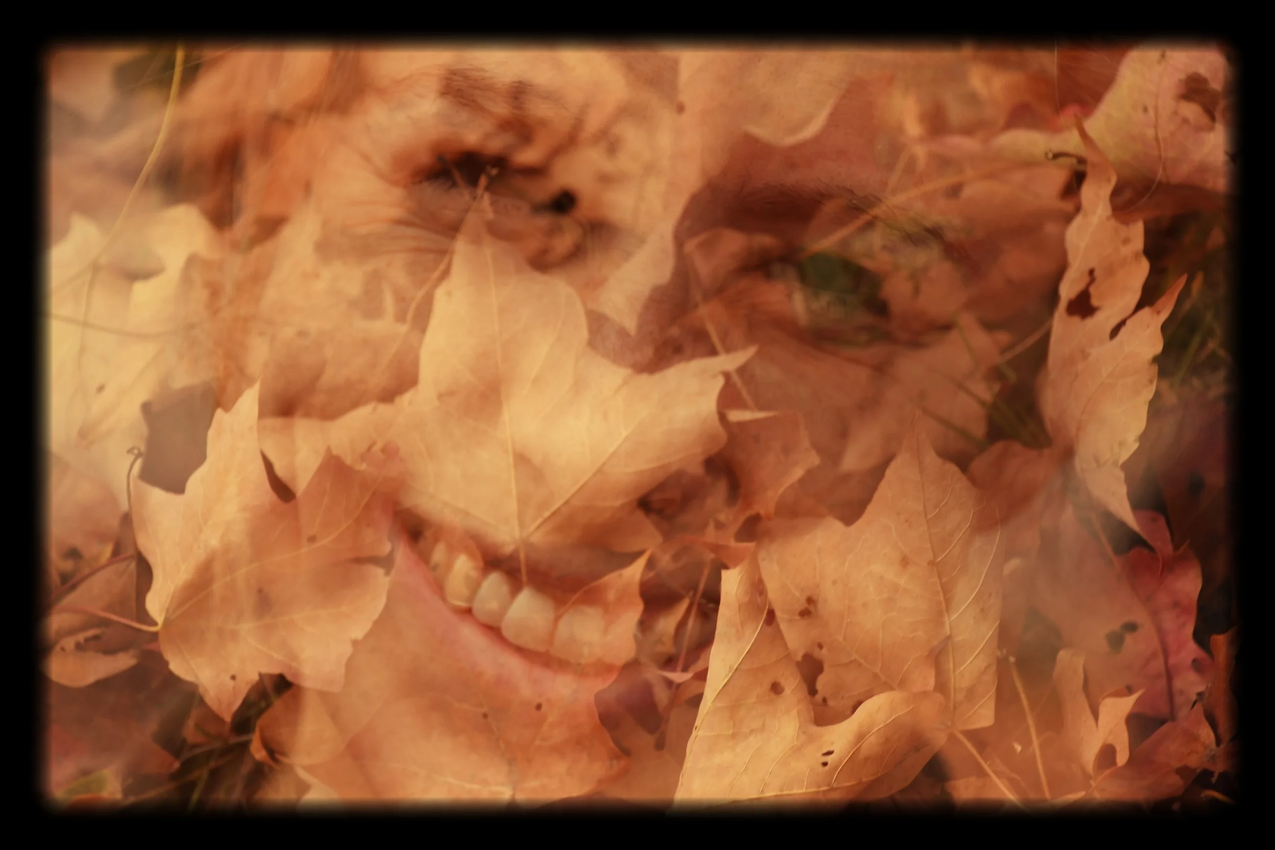Face in leafs.jpg