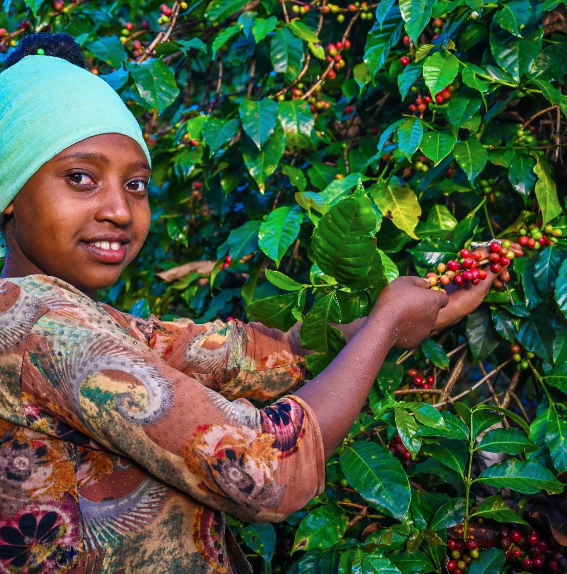 Screenshot 2025-08-29 at 4.26.56 PM.png