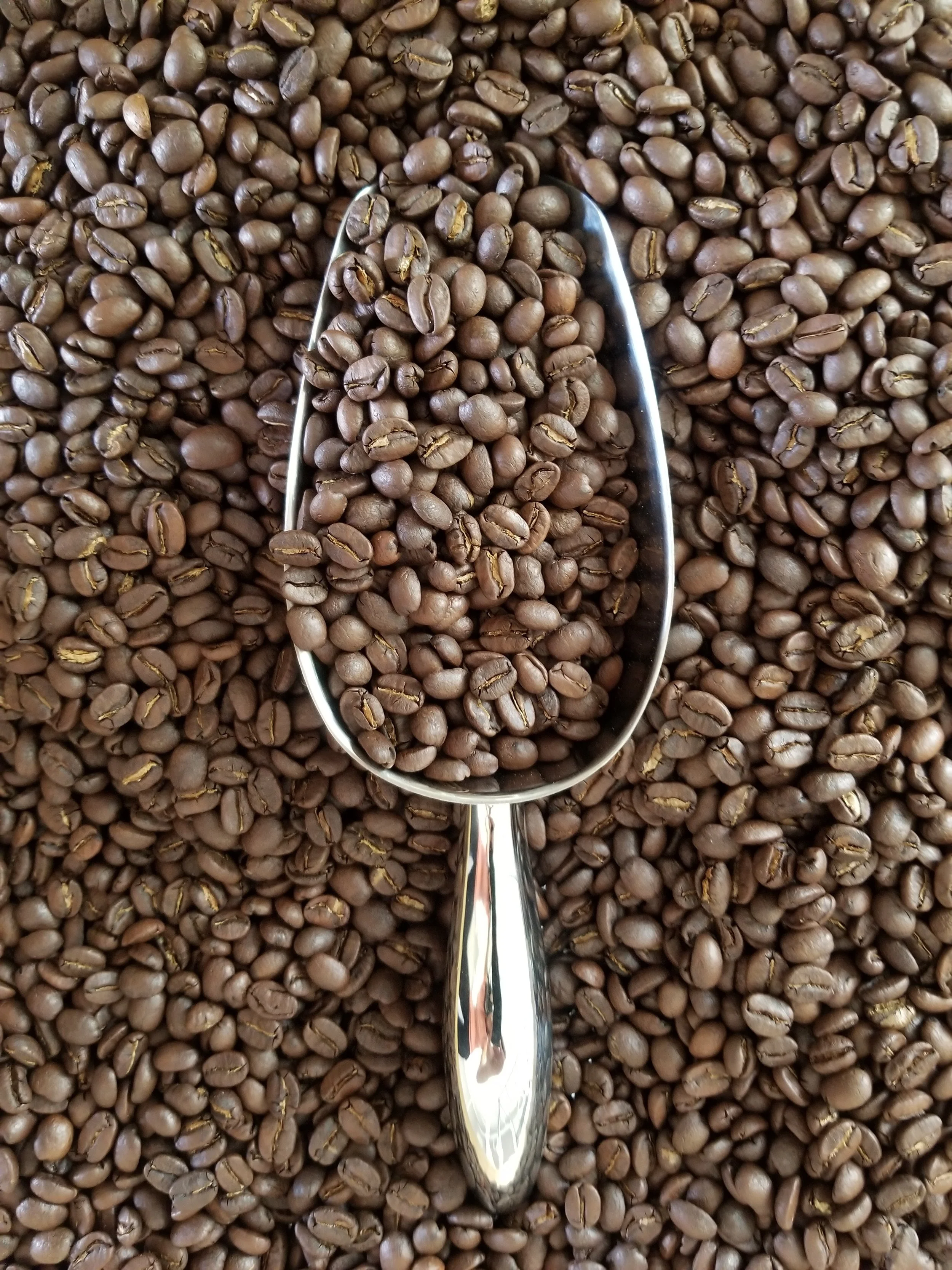 Freshly roasted coffee beans