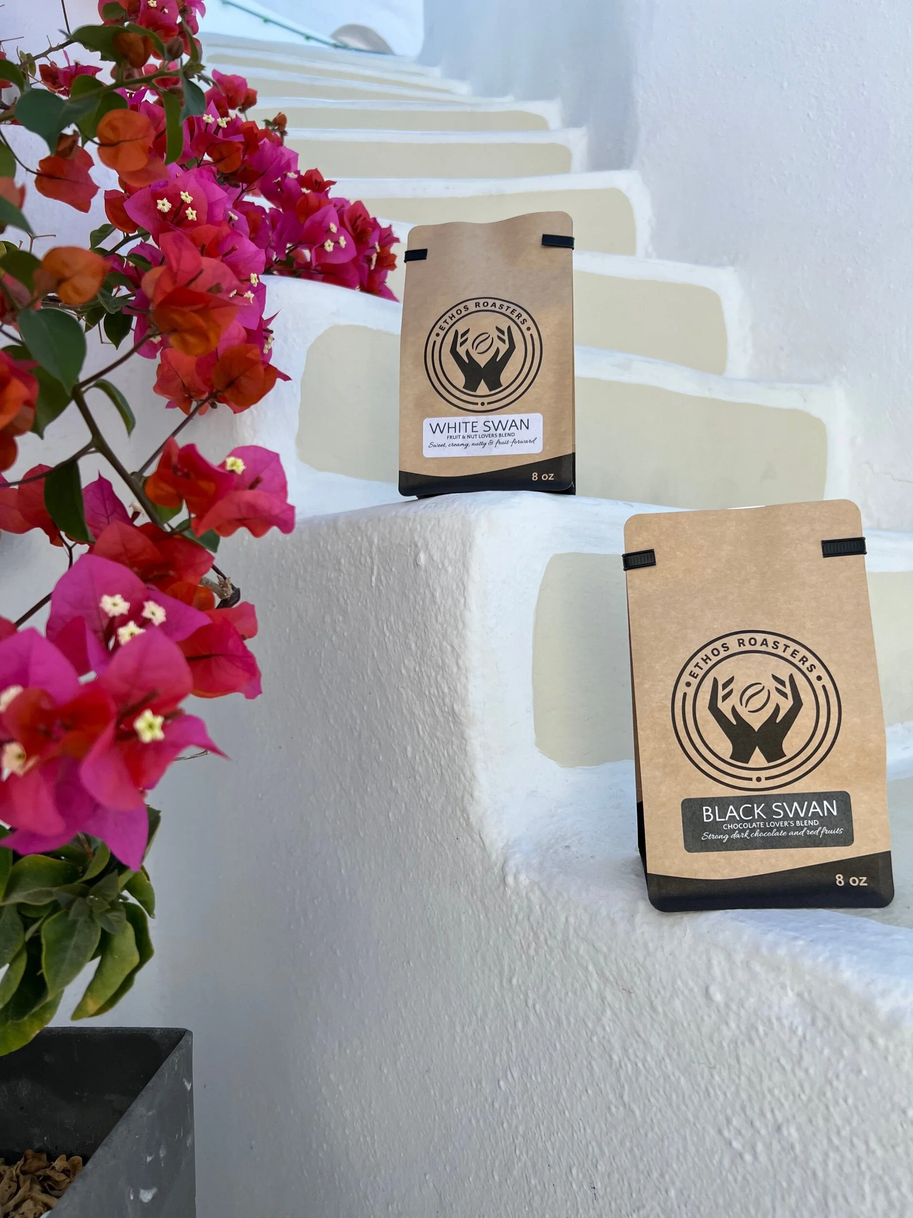 8DAEDD94-B311-47AD-AE22-1C799AB59C9D