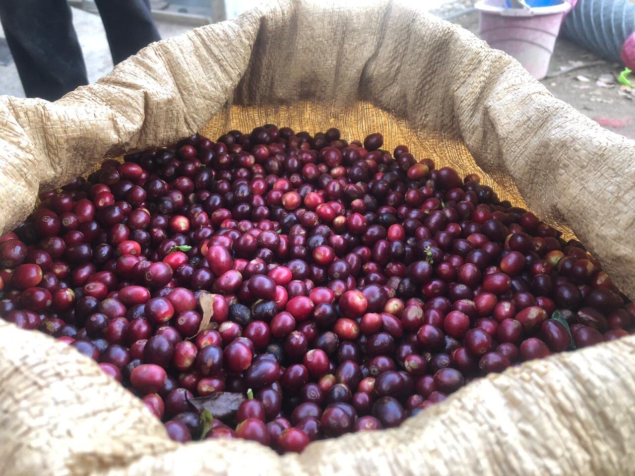 3E192EF5-AECC-4FF3-B0B4-FE72BEFDC7C0