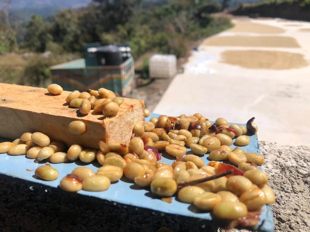 F2158D84-2C15-47BC-85E9-D832969EB77E