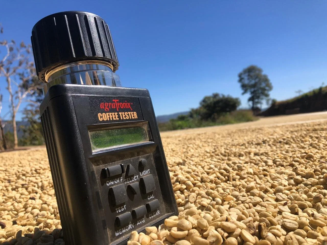 99CF0874-BA0F-4D47-AF29-5AFAA76F232A