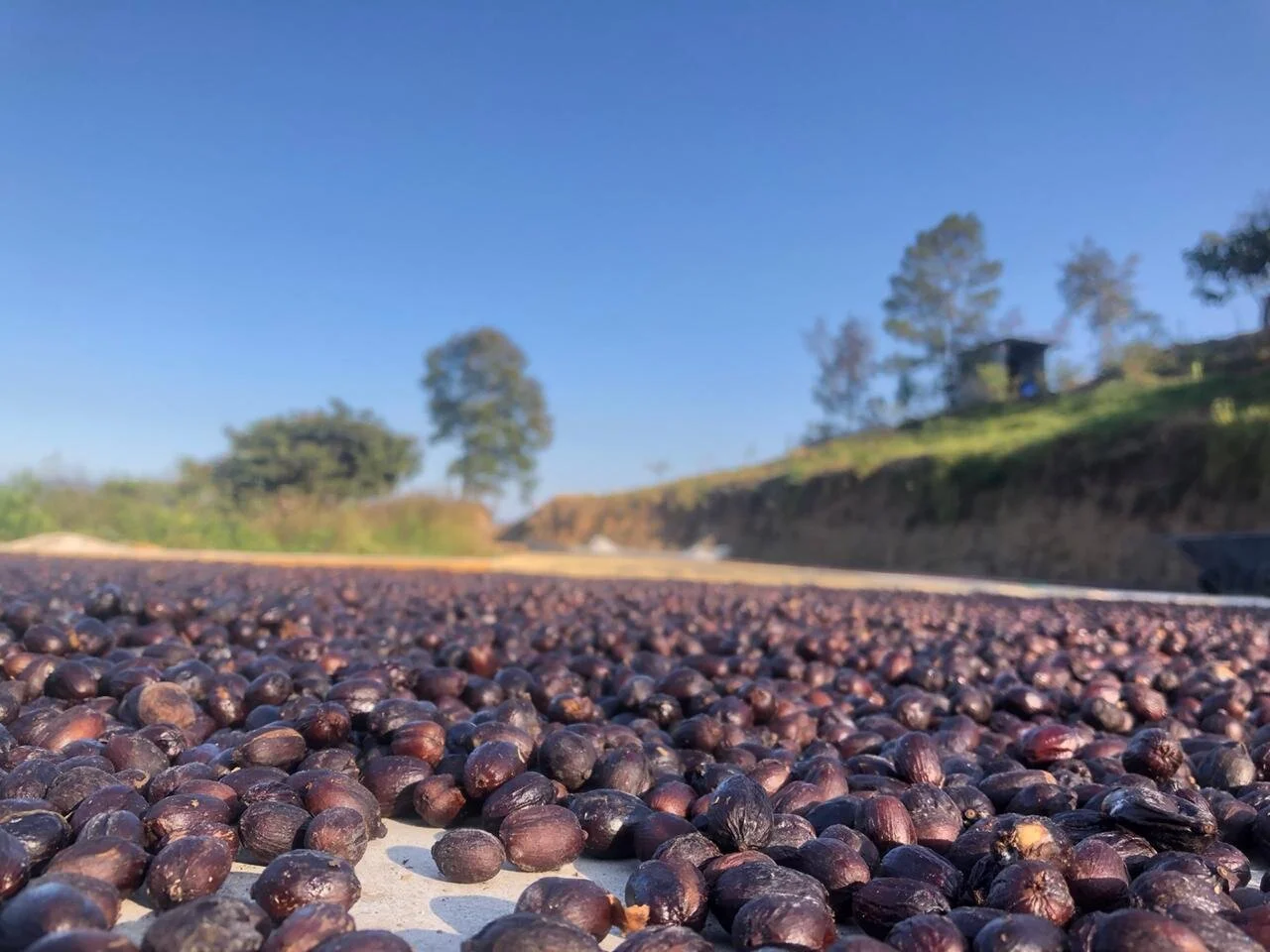 0A2FD836-D7F8-4C9A-92EC-B93AB59B8412