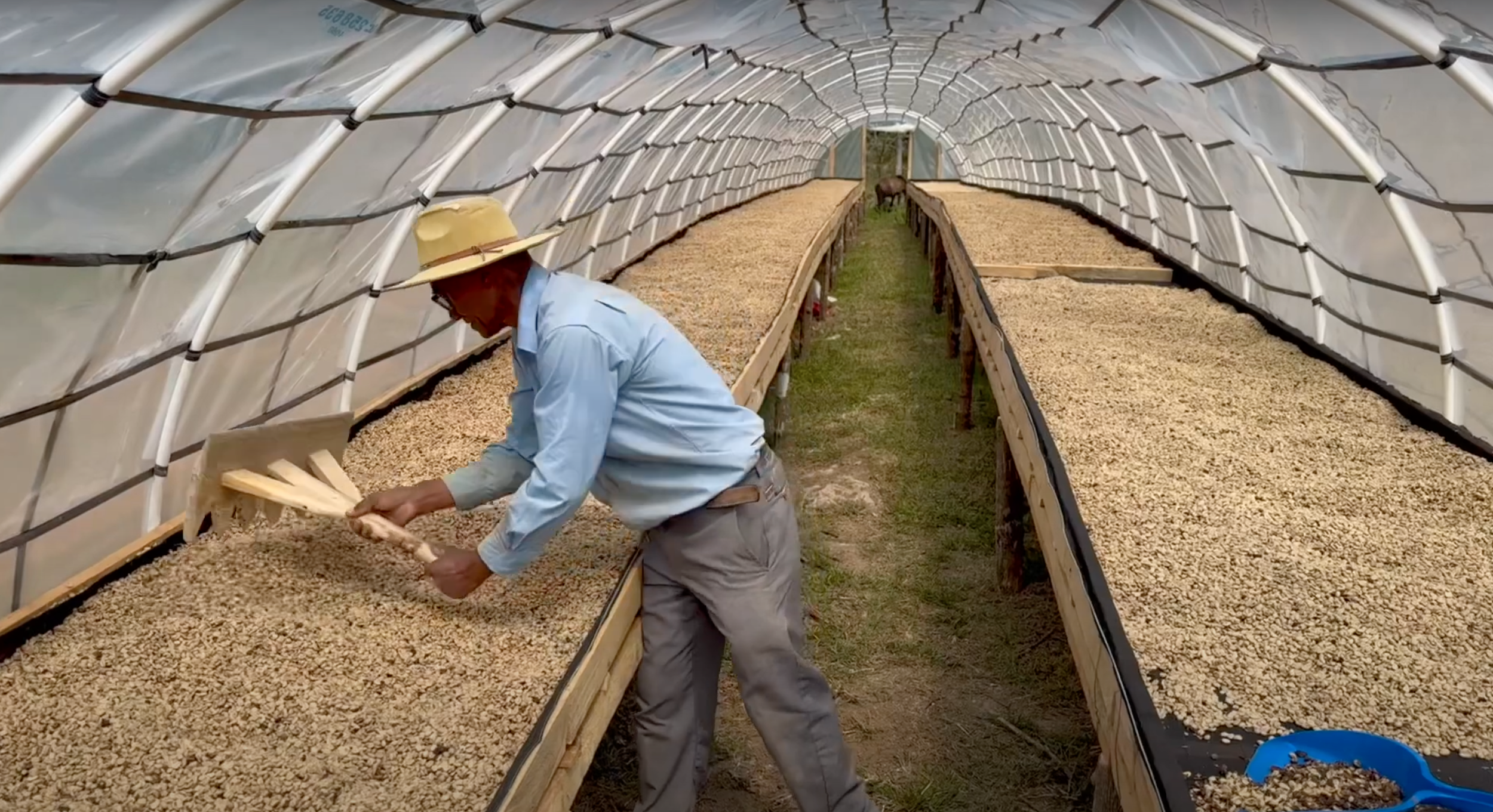 Screenshot 2025-04-14 at 6.04.17 PM.png