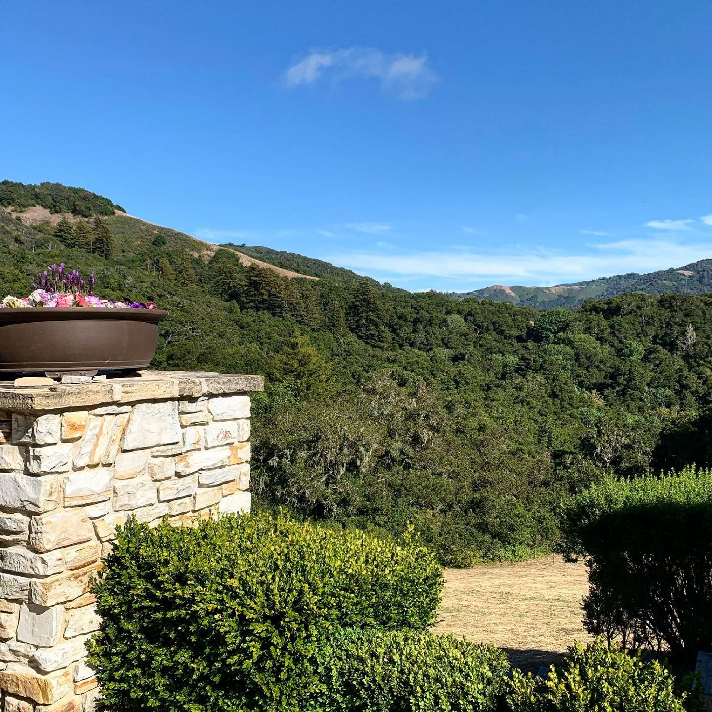 It is hard not to love every angle and view when you are in the Santa Lucia Preserve.  No other home in sight for miles, sculptured oaks that hang their sturdy branches over the road.  Birds of prey soaring through the air, circling again and again. 