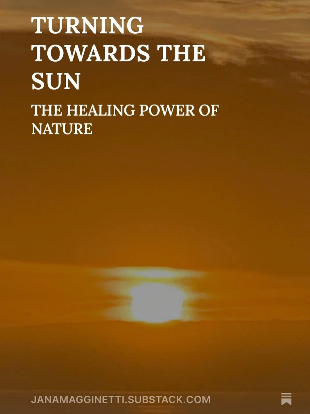 https://janamagginetti.substack.com/p/turning-towards-the-sun
If you love nature and know how it both heals and inspires you will find my Substack posted on Thanksgiving a collection of mental images that give me pause and reset my mental chatter to 