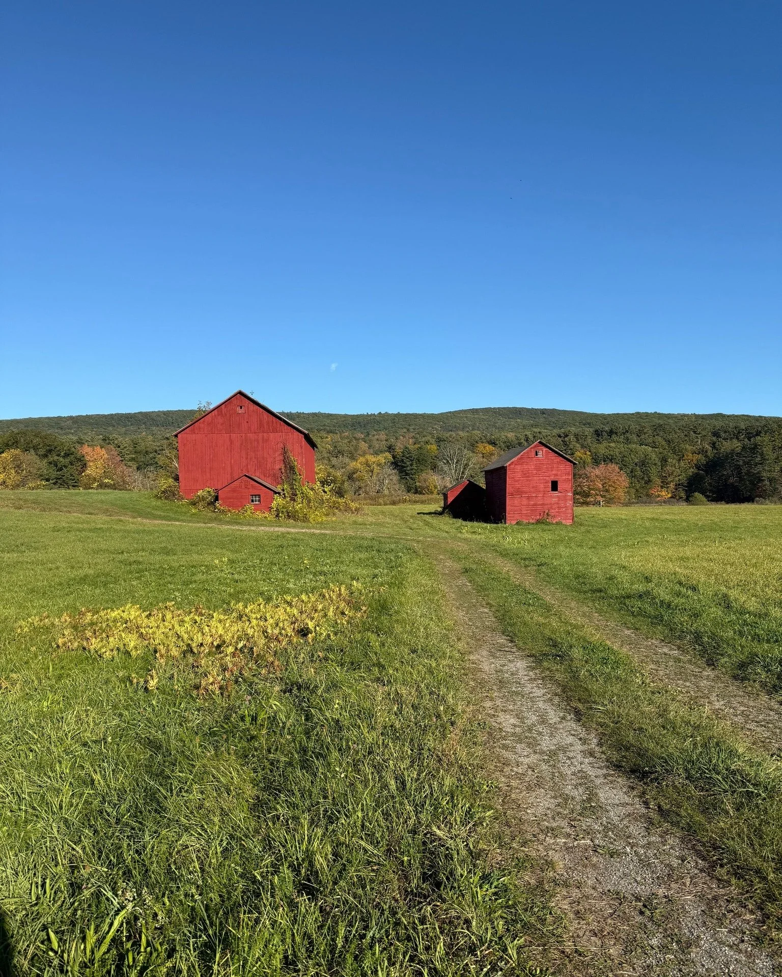 On the fourth try, I got the shot of this quintessential red barn in Massachusetts. 

#janamagginetti