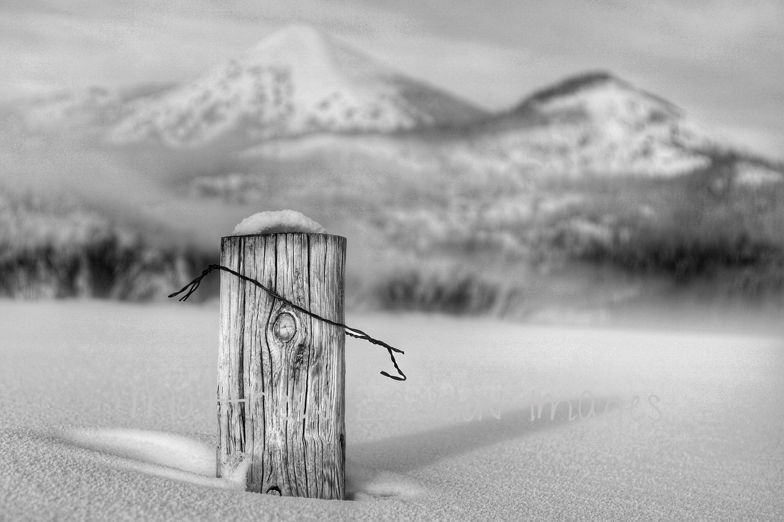 Untethered - Black & White