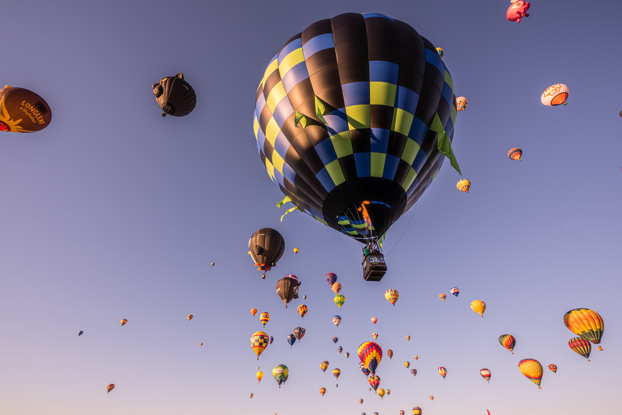 Albuquerque Ballon Fiesta - V