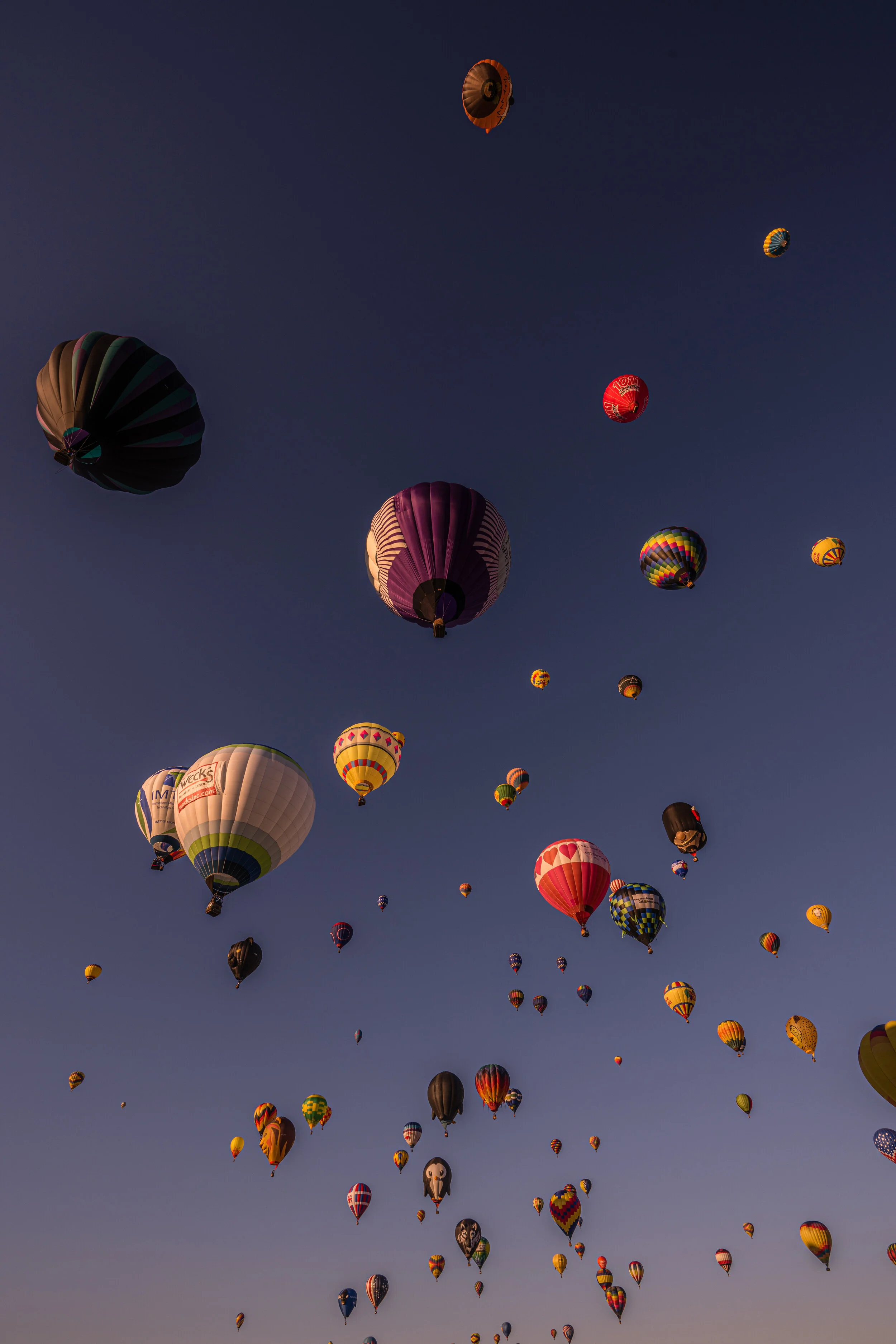 Albuquerque Ballon Fiesta - VI