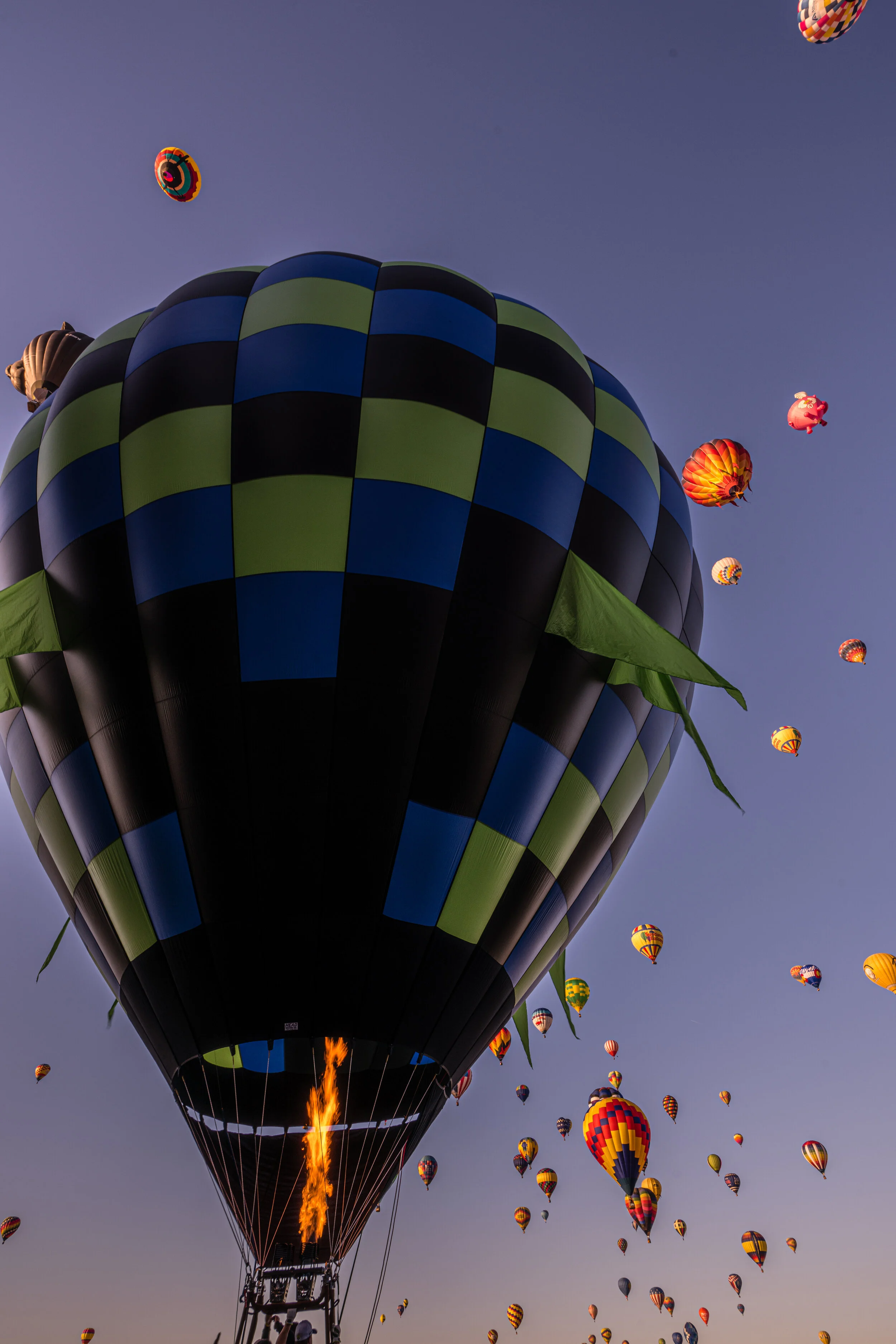 Albuquerque Ballon Fiesta - IV