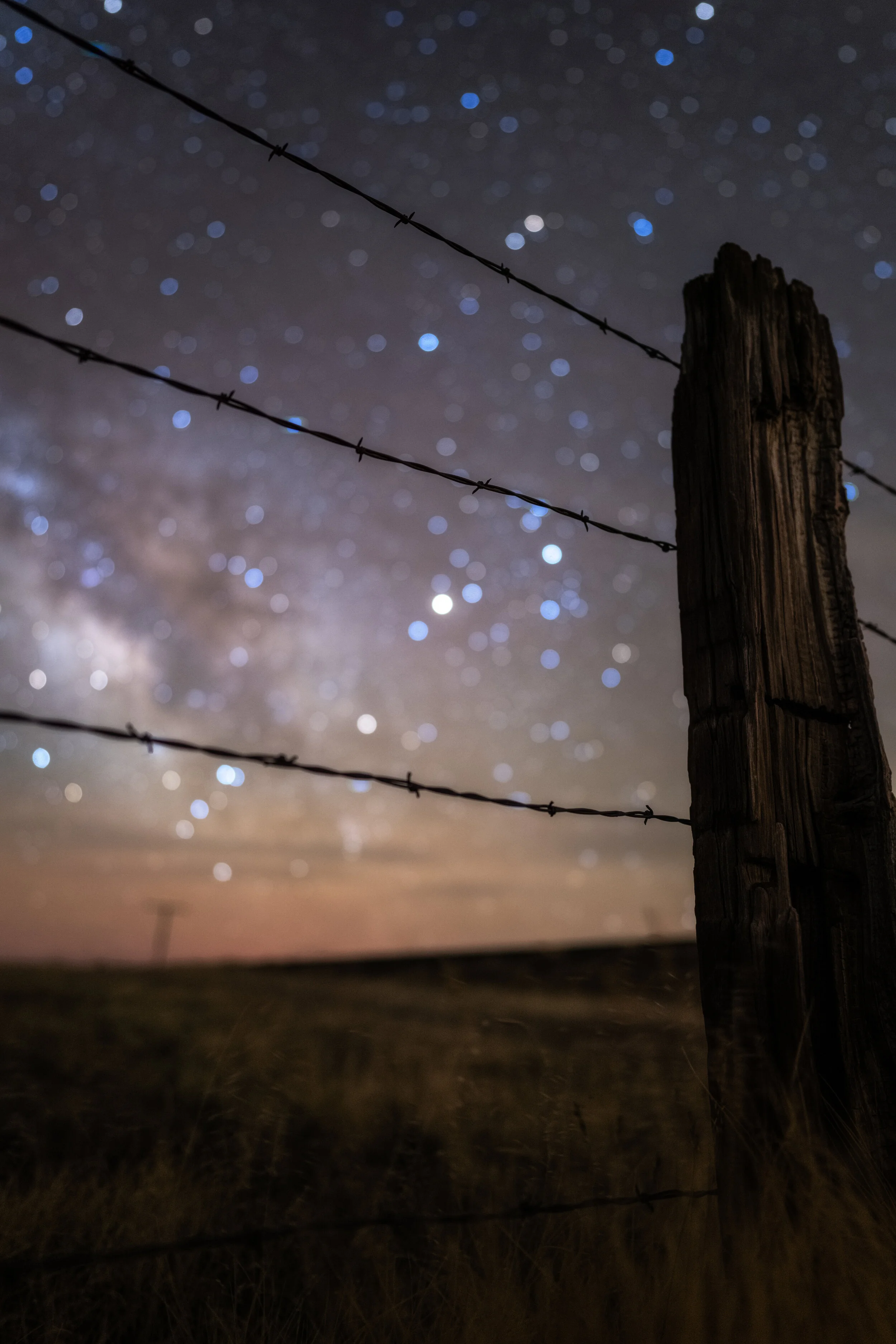 Anatomy of a Composition - In Memoriam