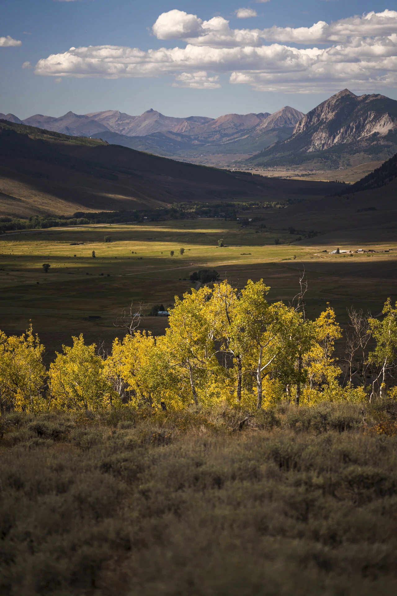 Anatomy of a Composition - Punctuated Equilibrium