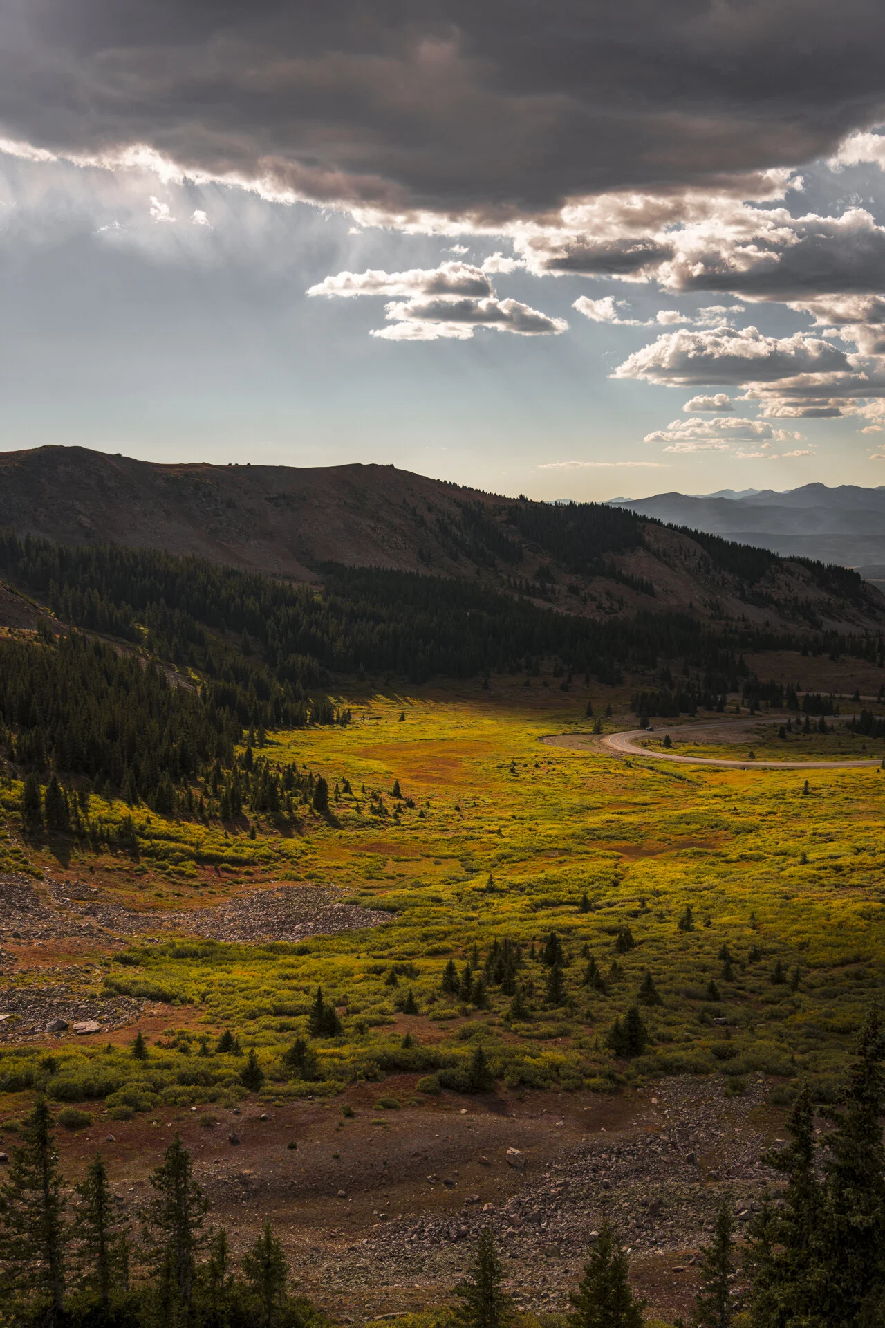 Anatomy of a Composition - Autumnal - Sony a7riv - Sony FE 24-105G ISO 100 • F/4 • 1/1600 sec. - Single image shoot at 35mm.&nbsp; Final edits made in Lightroom.