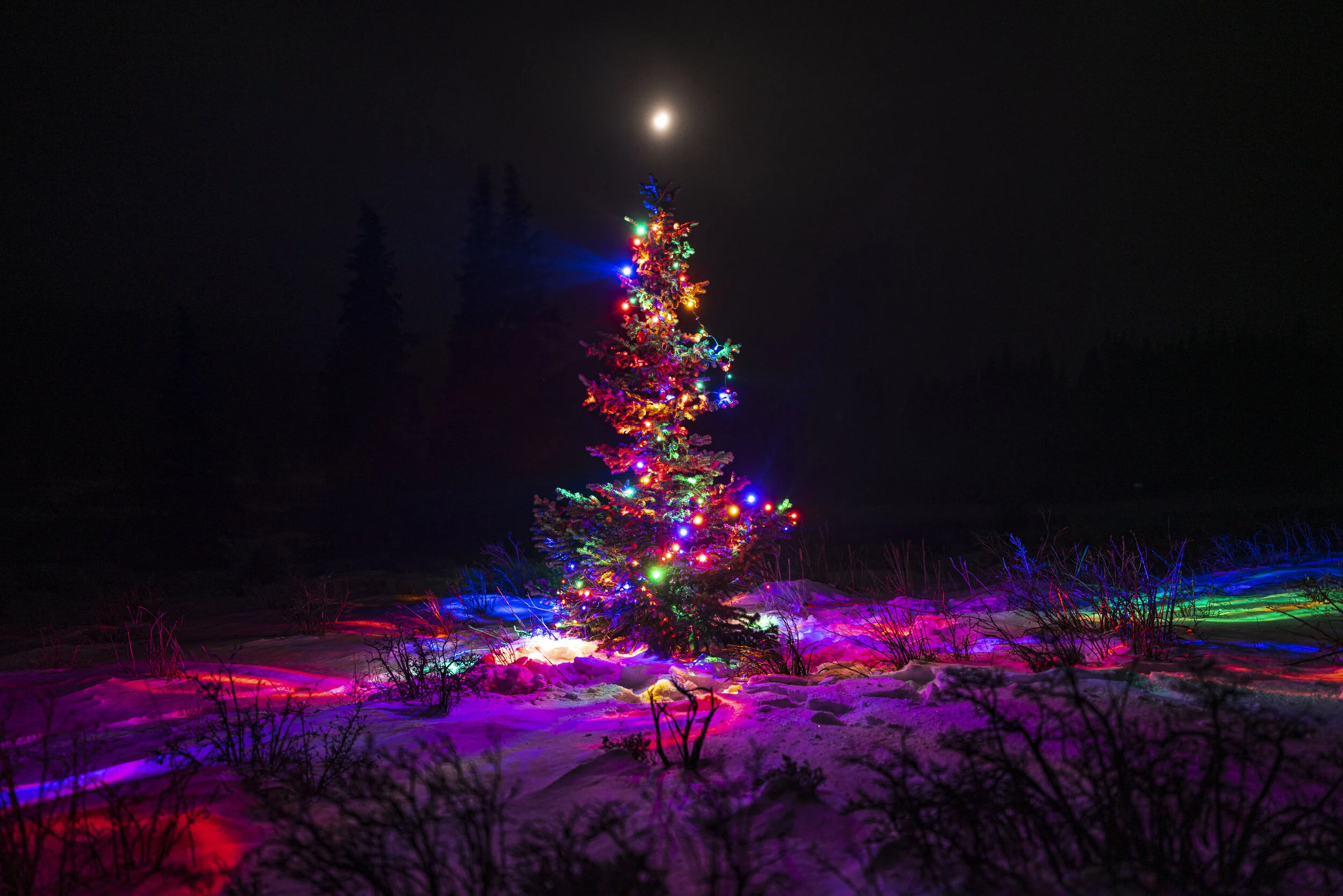 Anatomy of a Composition: Oh, Christmas Tree?!